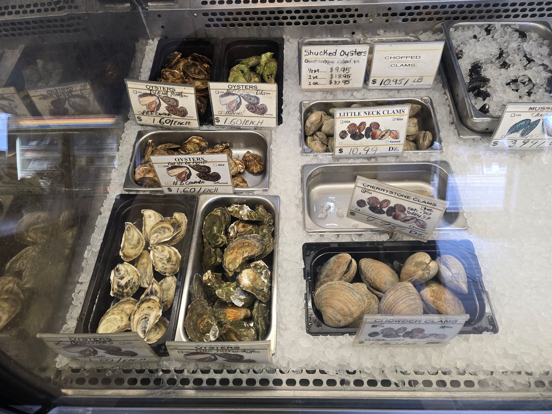 A display case filled with oysters and other seafood.