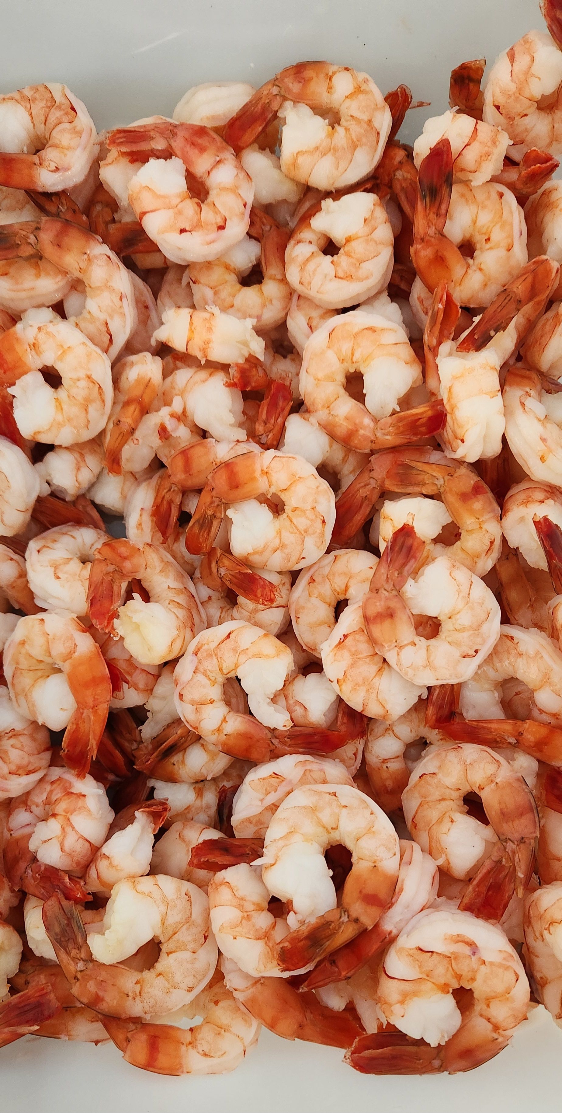 A pile of shrimp is sitting on top of each other on a white plate.