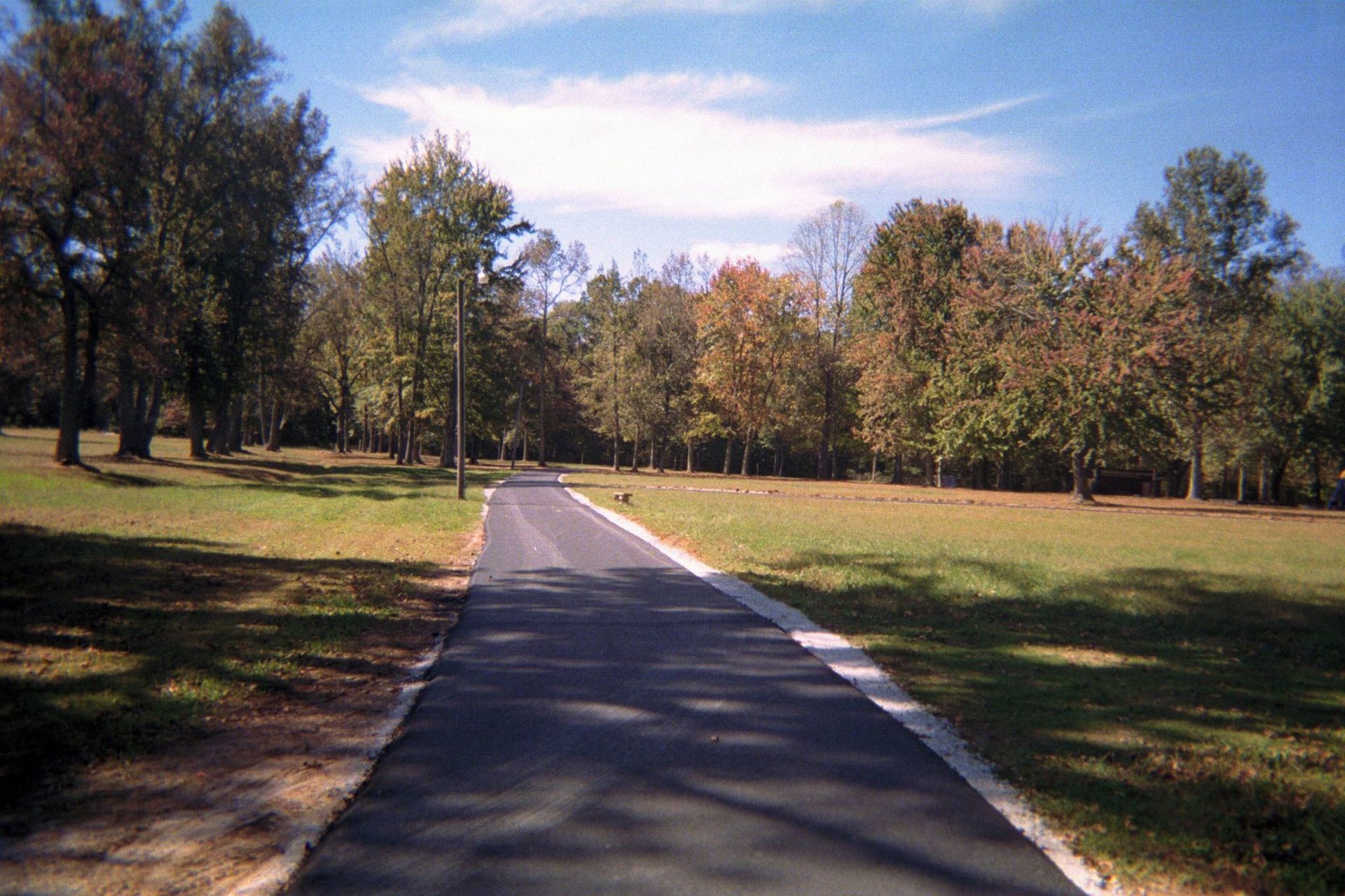 Paved path through a grassy park with trees under a blue sky