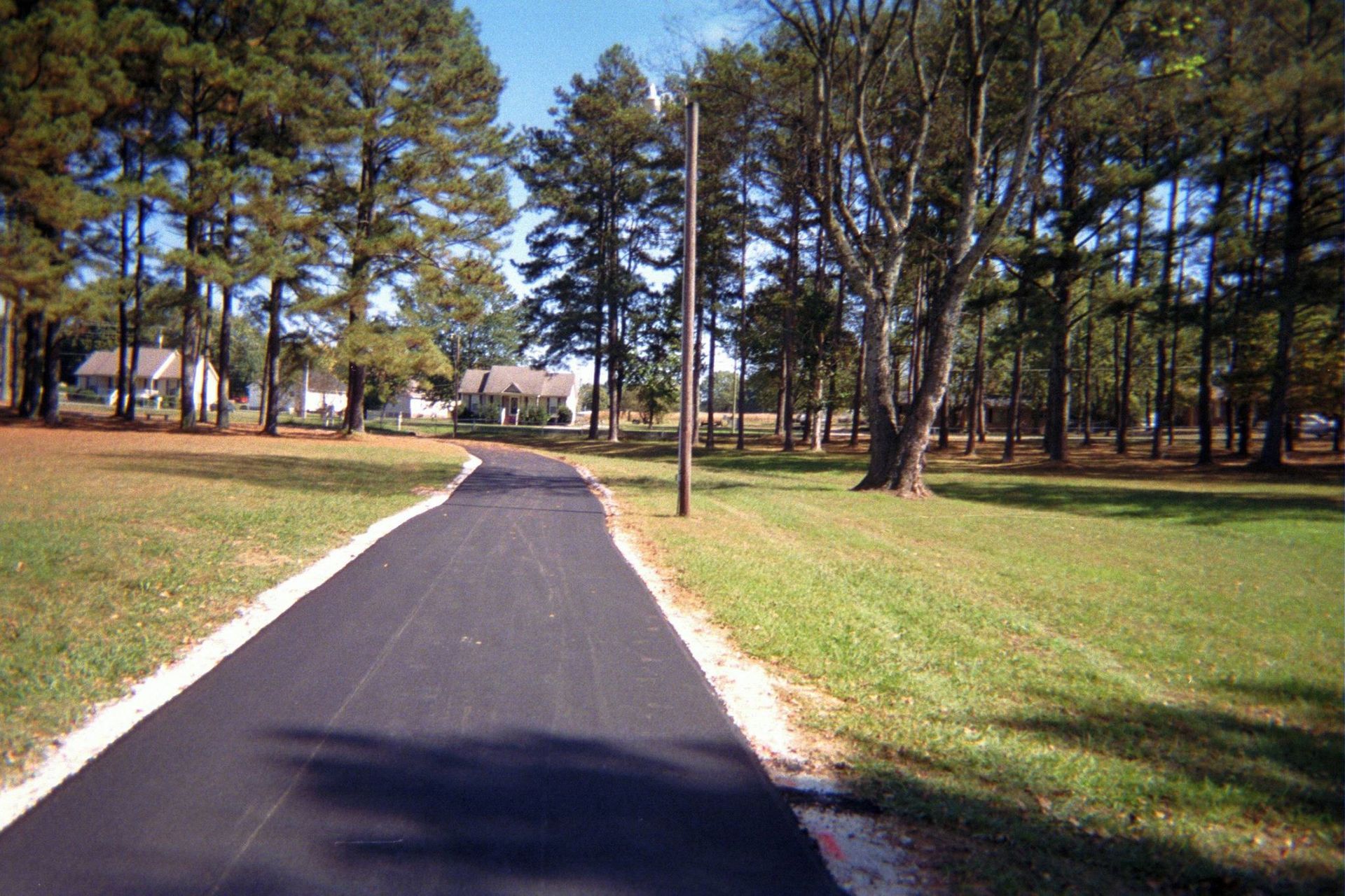 Paved path through a grassy park with tall pine trees and a house in the distance