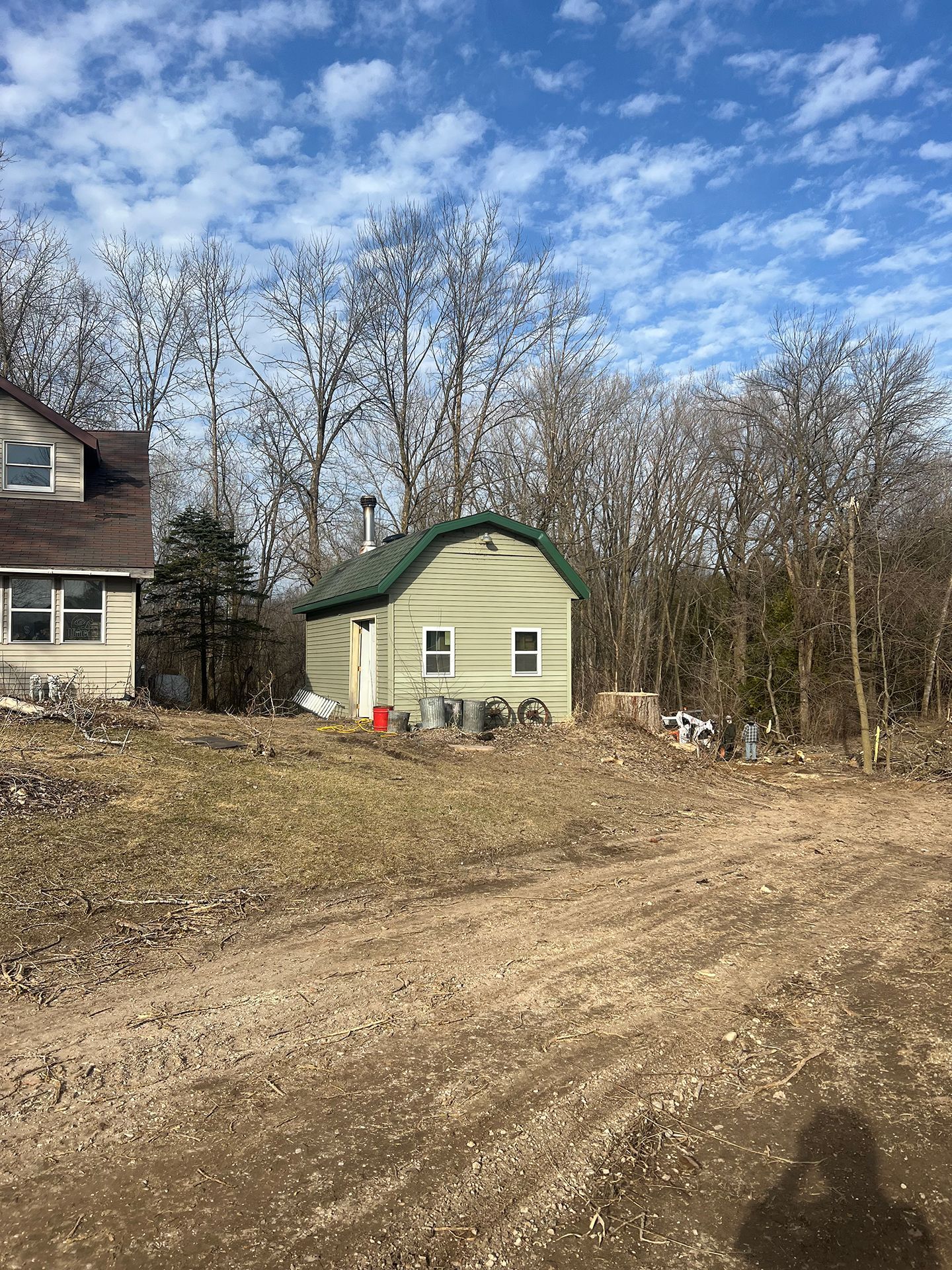 Tree branch in the middle of a forest.