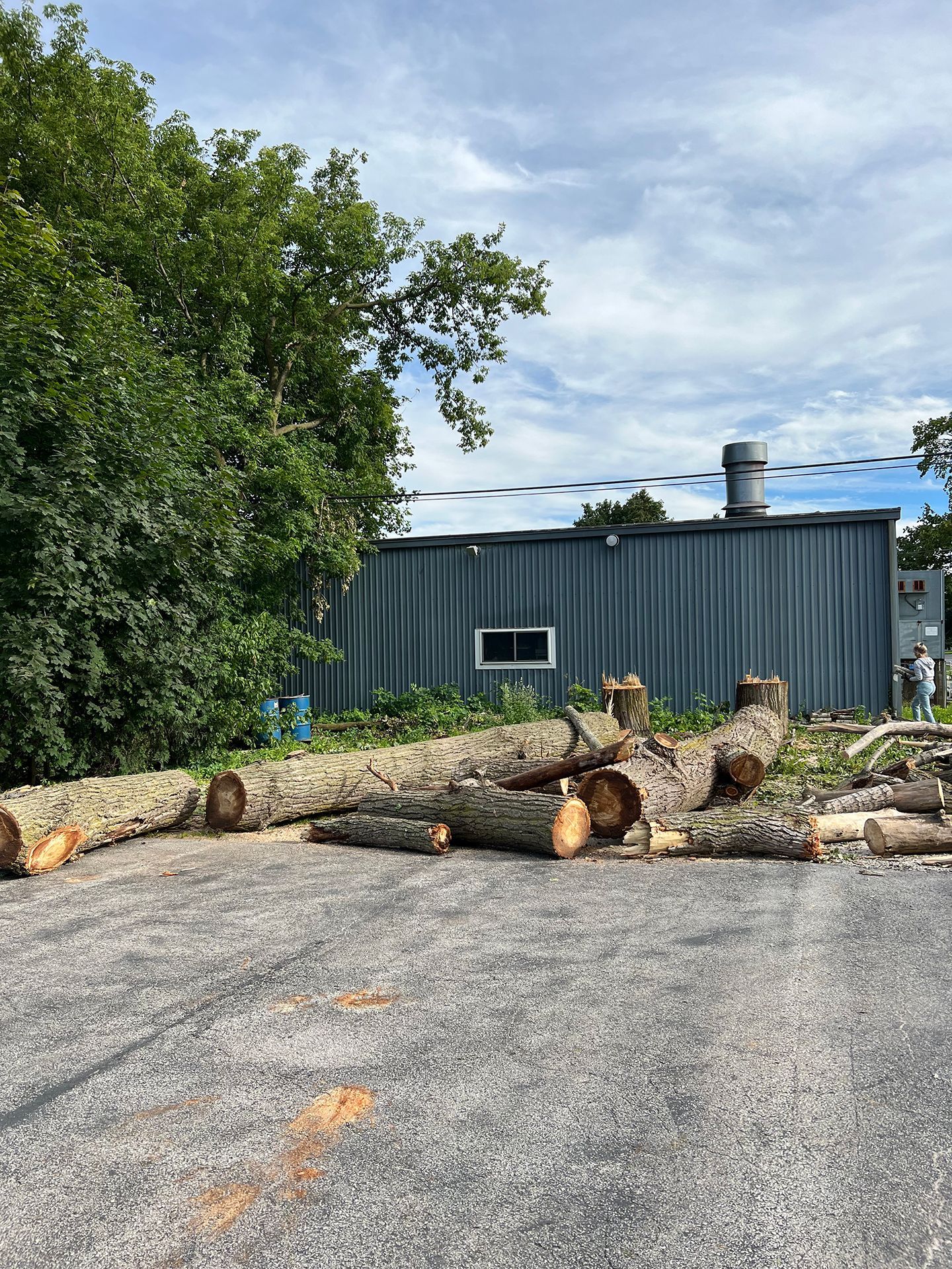 A pile of logs in a parking lot in front of a building.