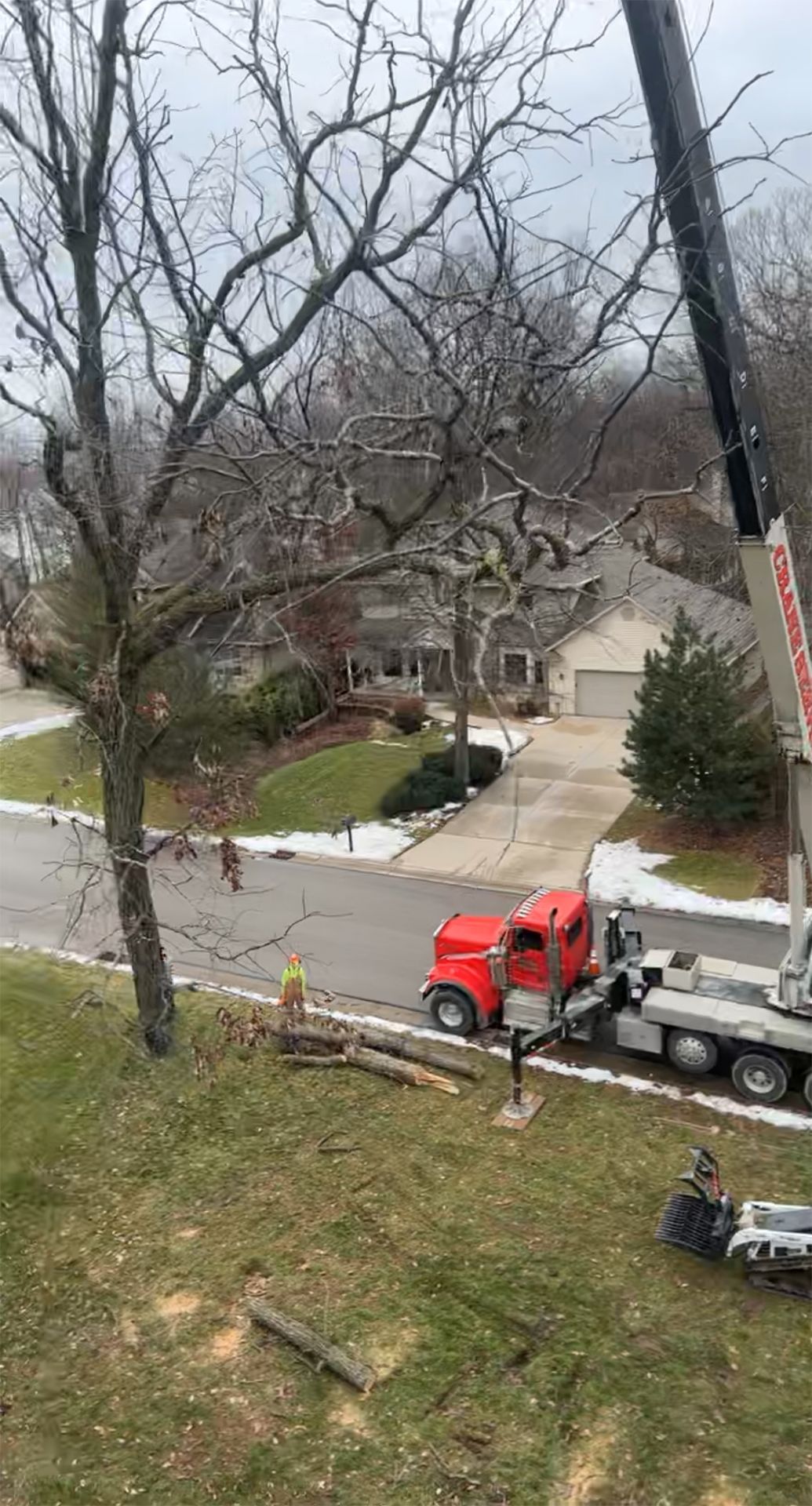 A red truck is parked on the side of the road next to a tree.