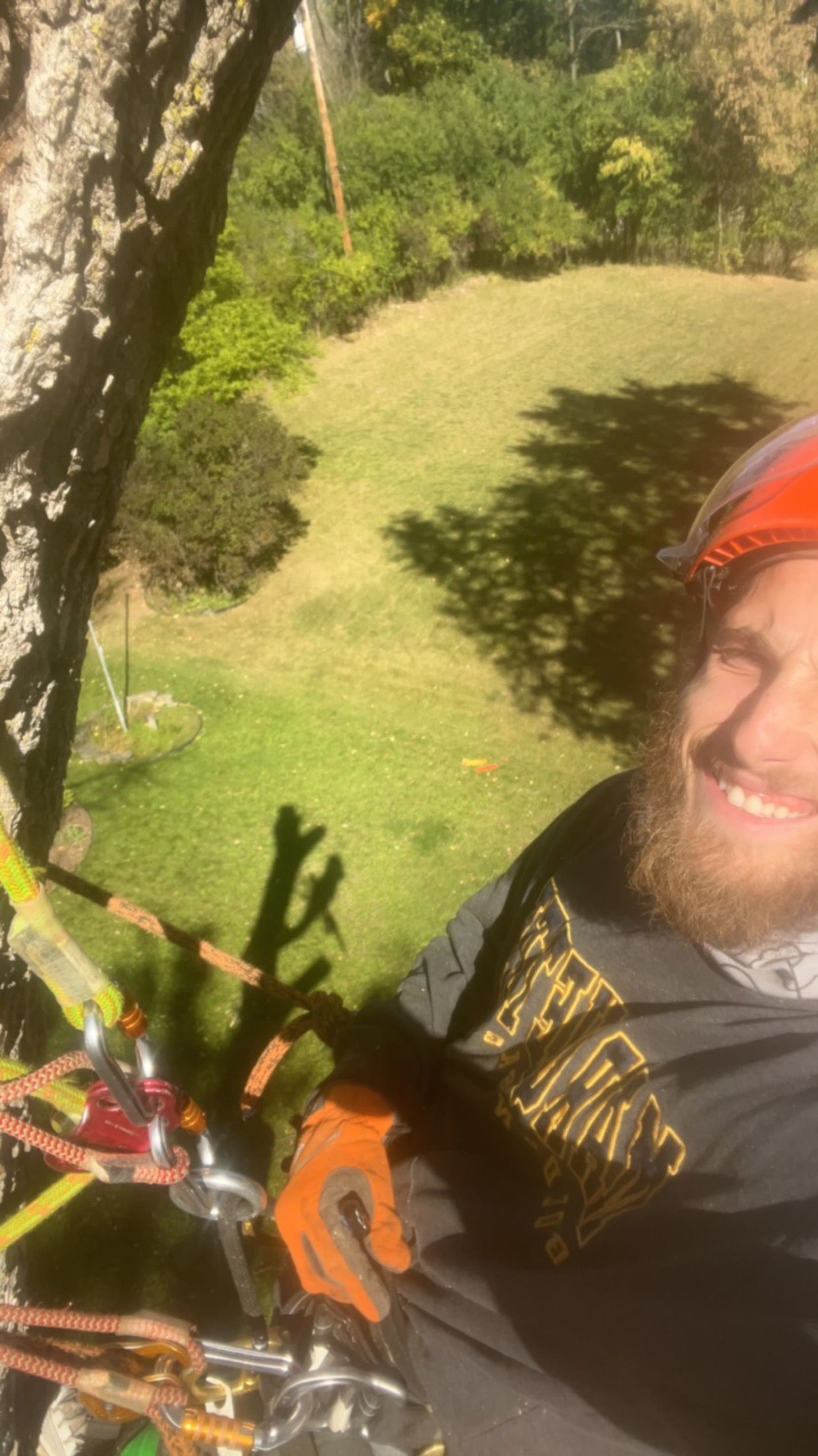 A man is smiling while sitting in a tree.