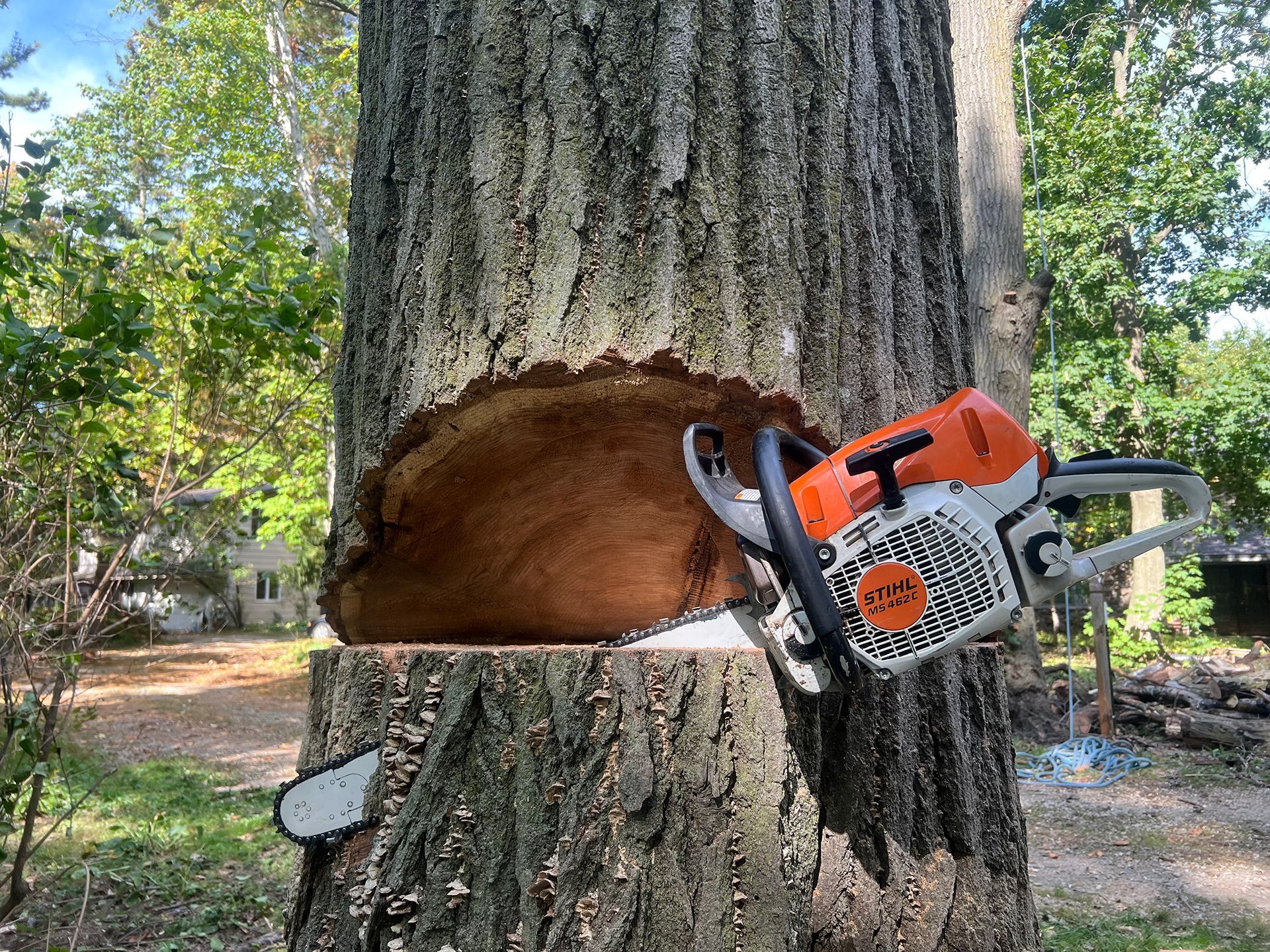 A chainsaw is sitting on top of a tree stump.