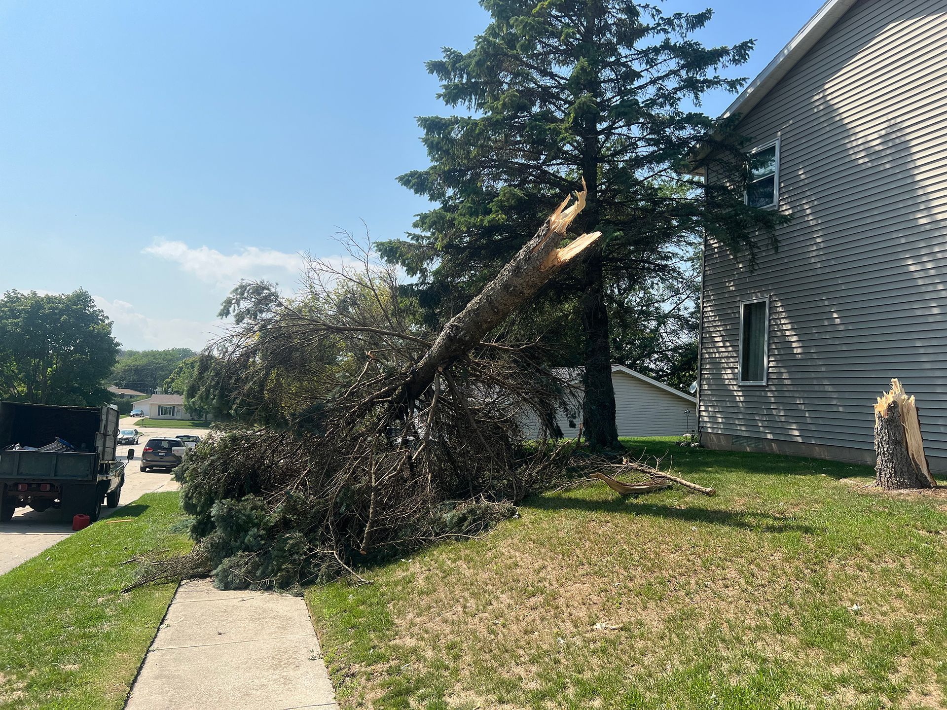 A tree has fallen on the sidewalk in front of a house.