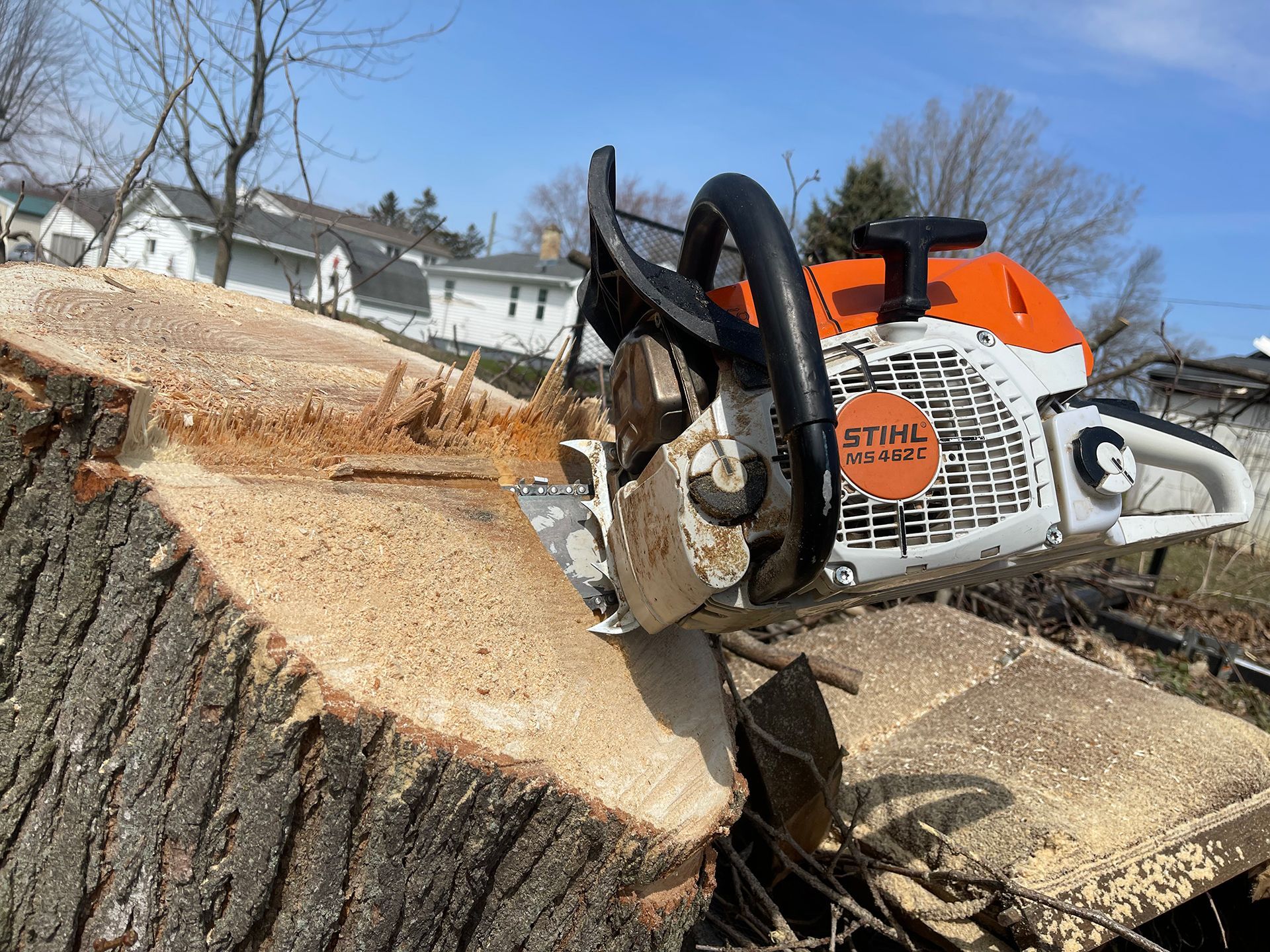 A chainsaw is cutting a large tree stump.