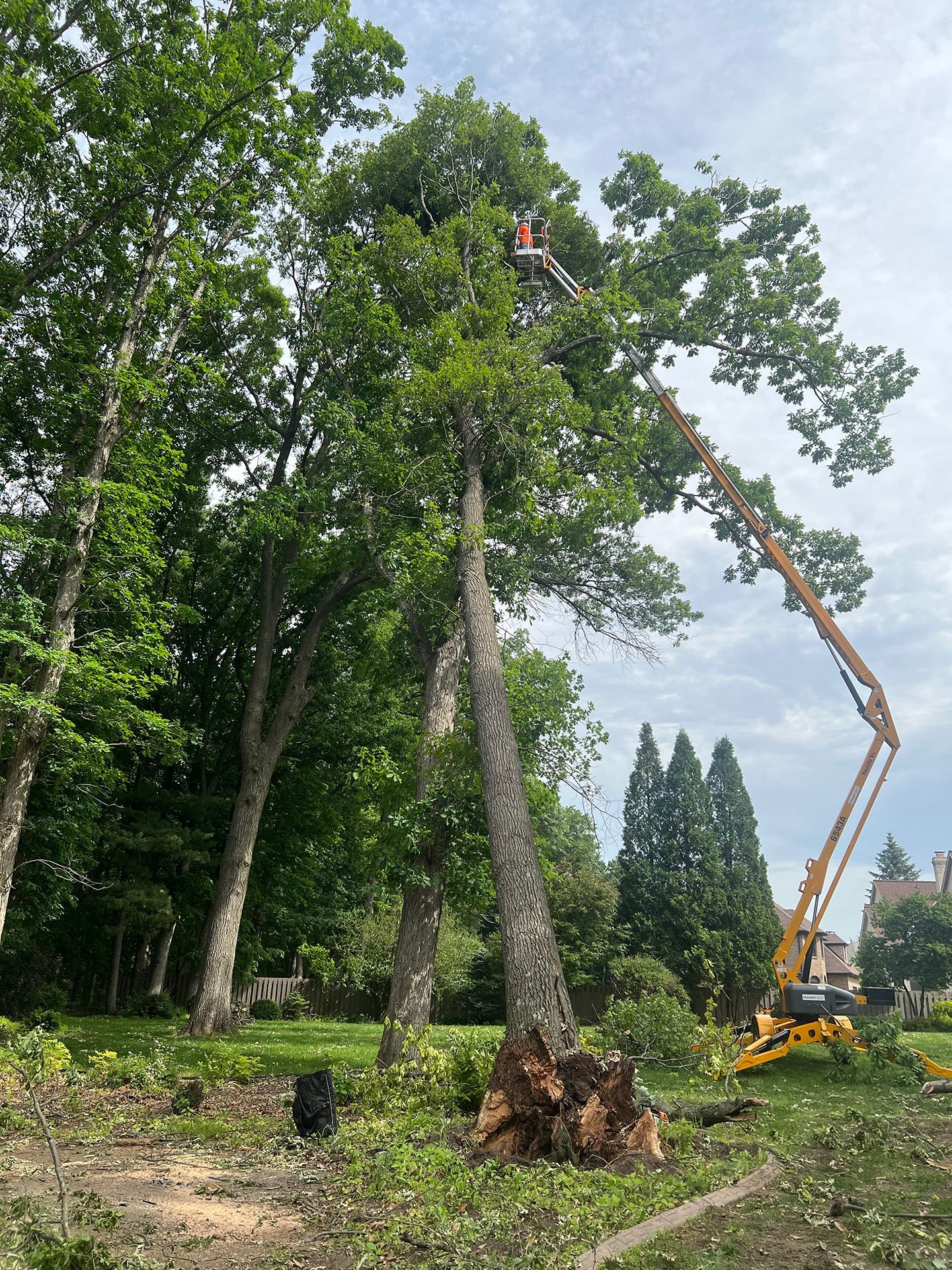 A man is sitting on a crane cutting down a tree.