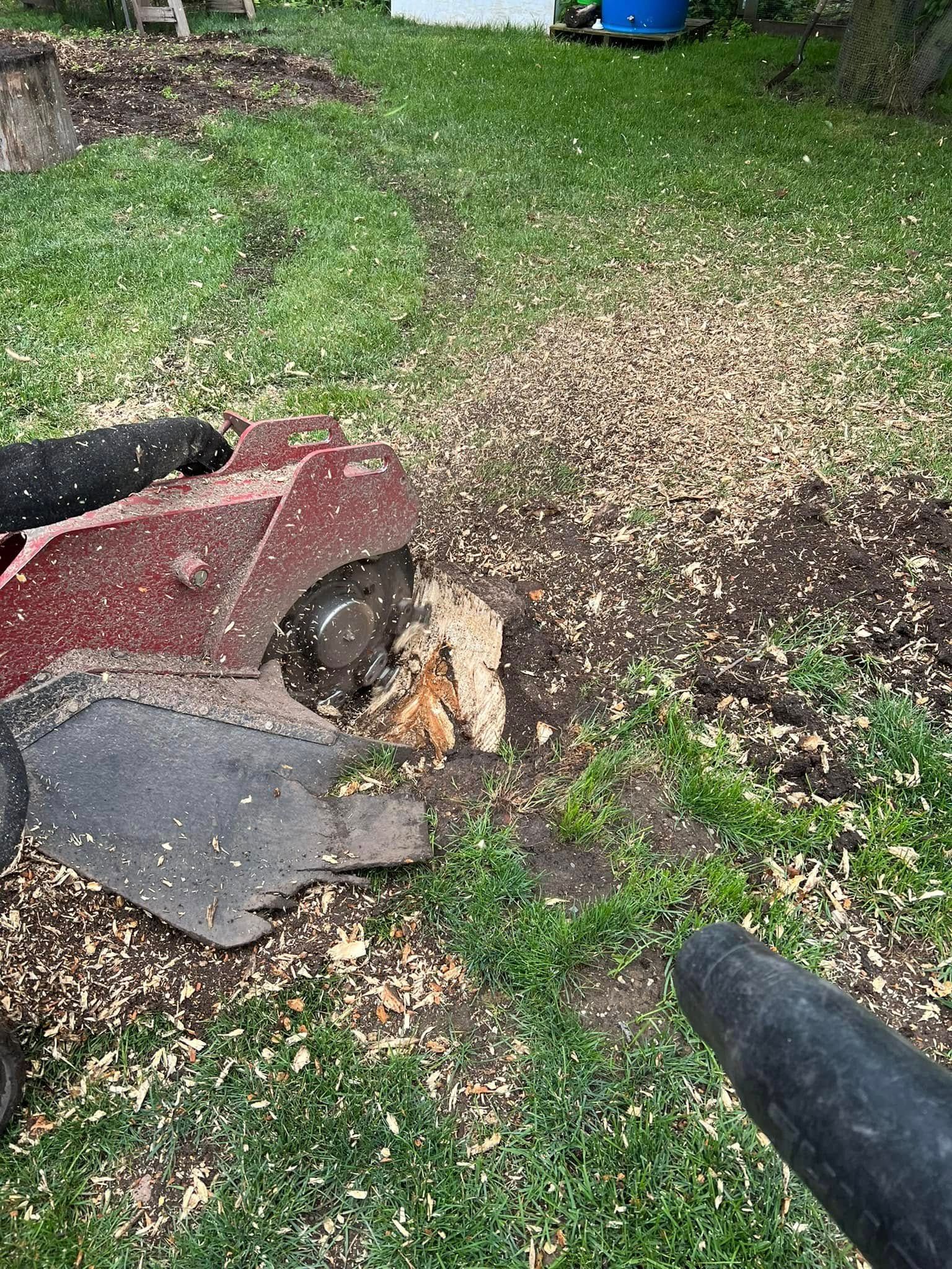 A person is using a vacuum cleaner to remove a tree stump.