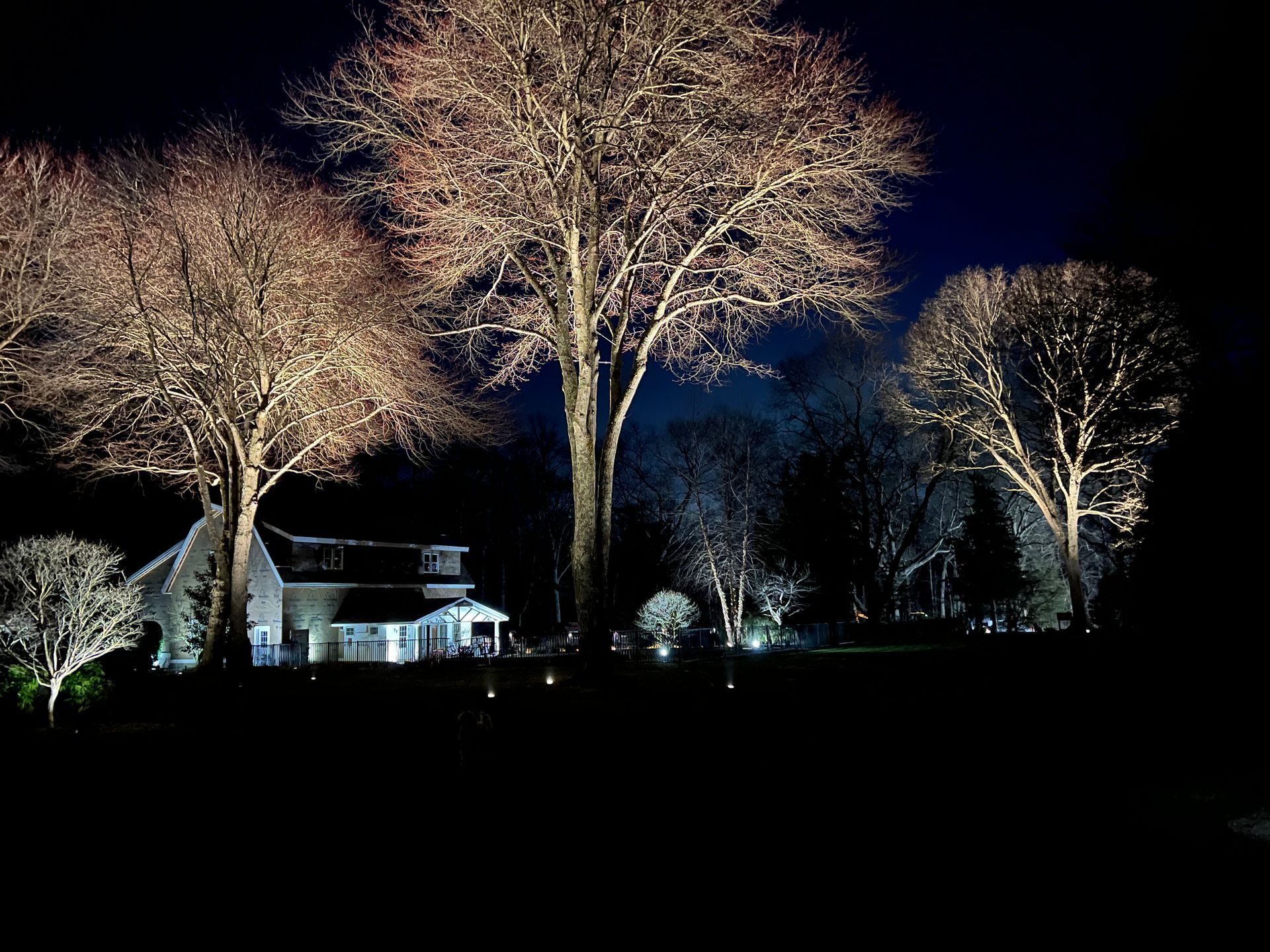 A house is lit up at night with trees in the foreground