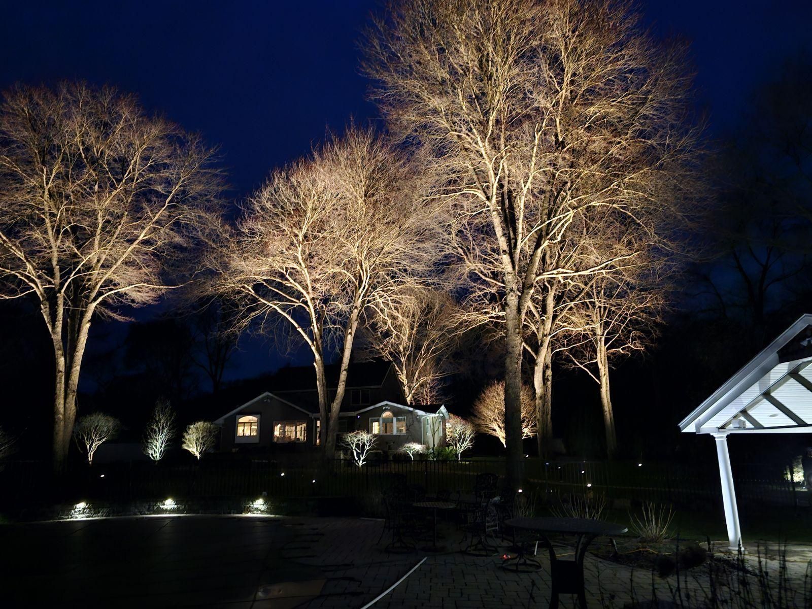 A row of trees are lit up at night in front of a house