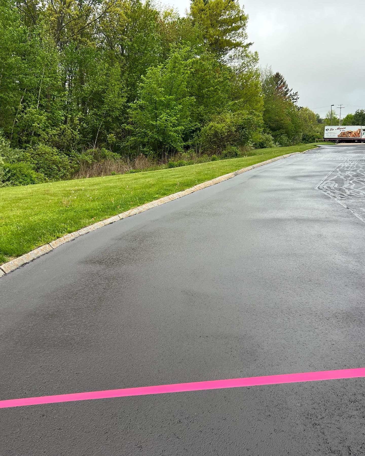 Wet asphalt with a pink line borders a grassy area and trees on a cloudy day.