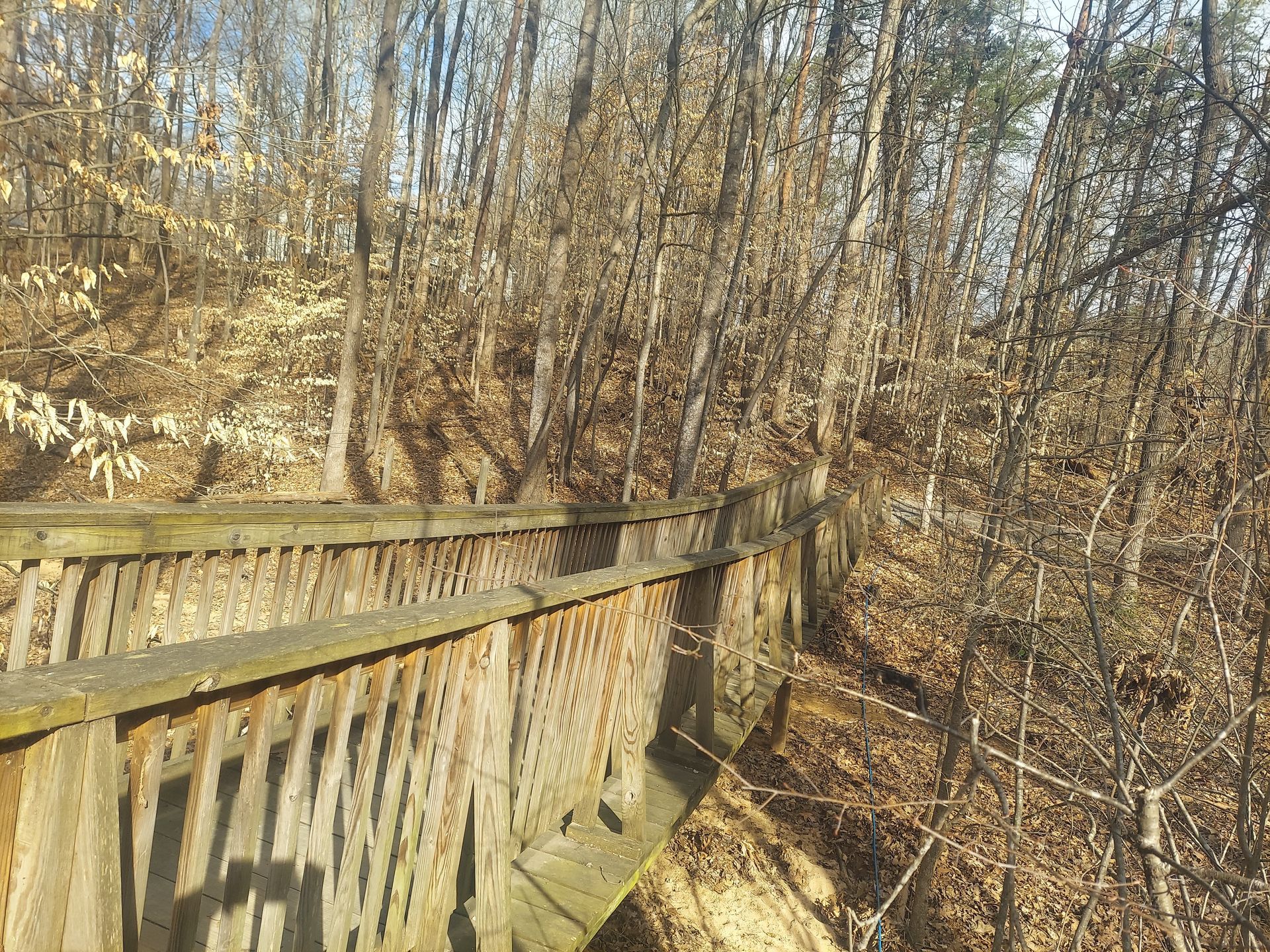 Wooden bridge before