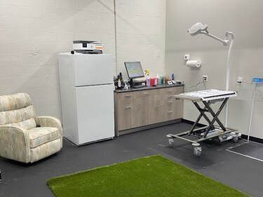 Veterinary exam room: White fridge, examination table, cabinets, and a recliner. Artificial grass rug on the floor.