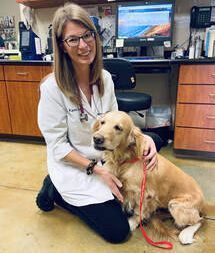 Photo of {{Team Member Name}}