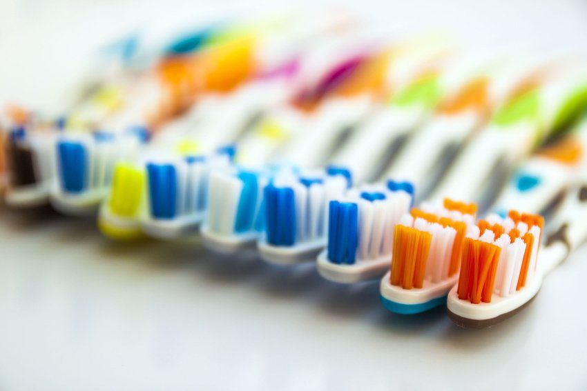 multicolored toothbrushes