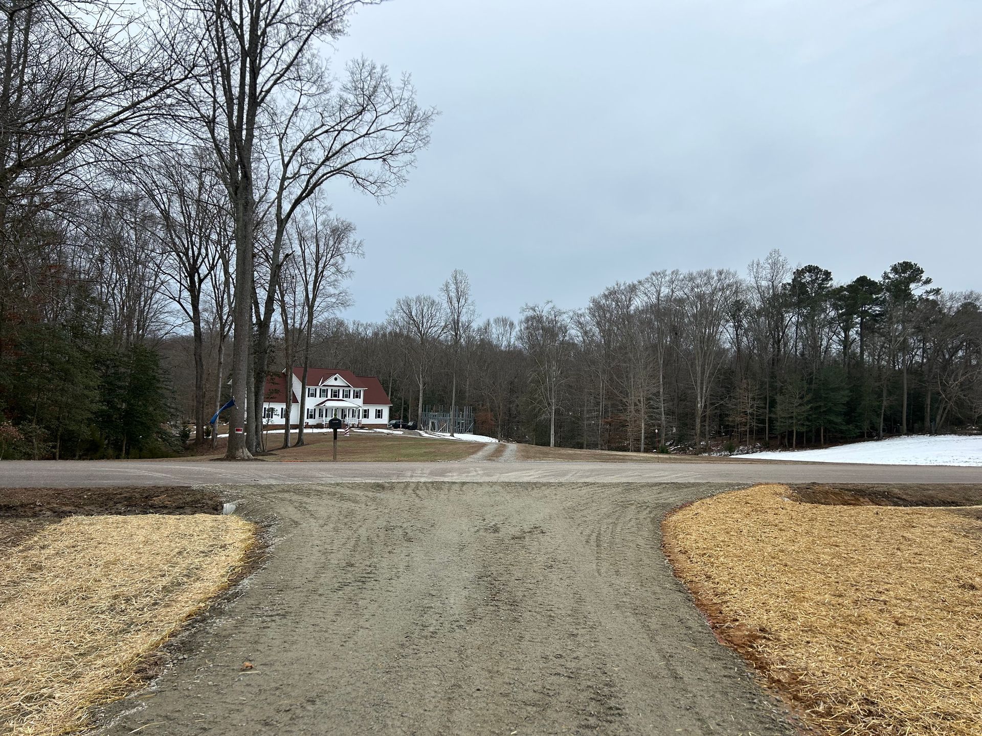 A dirt road leading to a house in the woods.