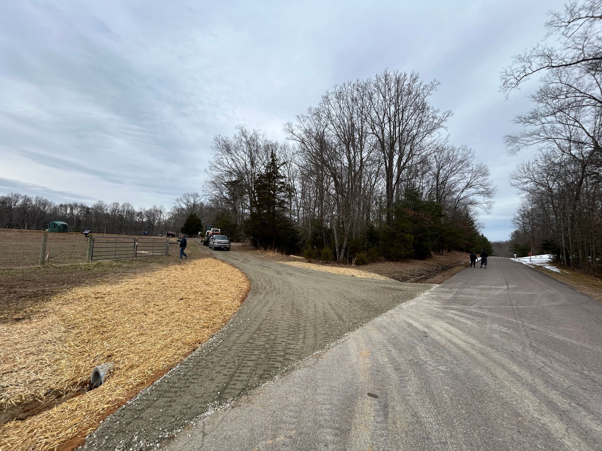 A road with a lot of trees on the side of it.