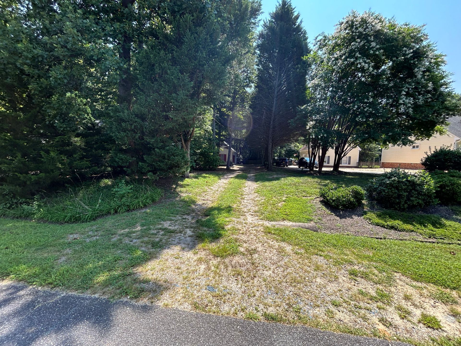 A dirt road leading to a house surrounded by trees and grass.