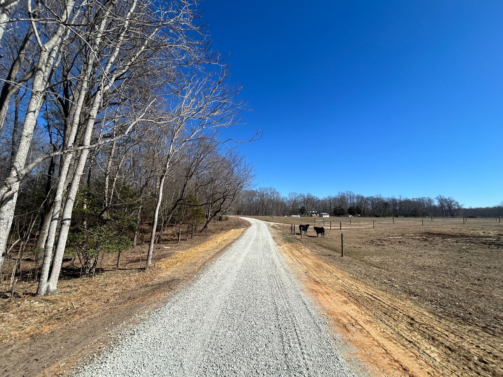 A dirt road going through a field with trees on both sides.