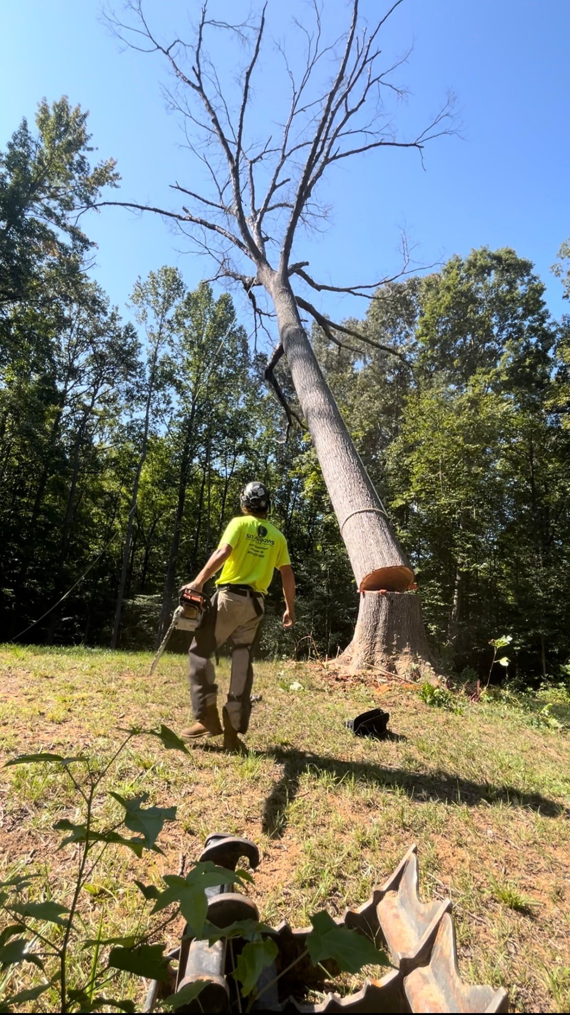 A man is standing next to a large tree in a field.
