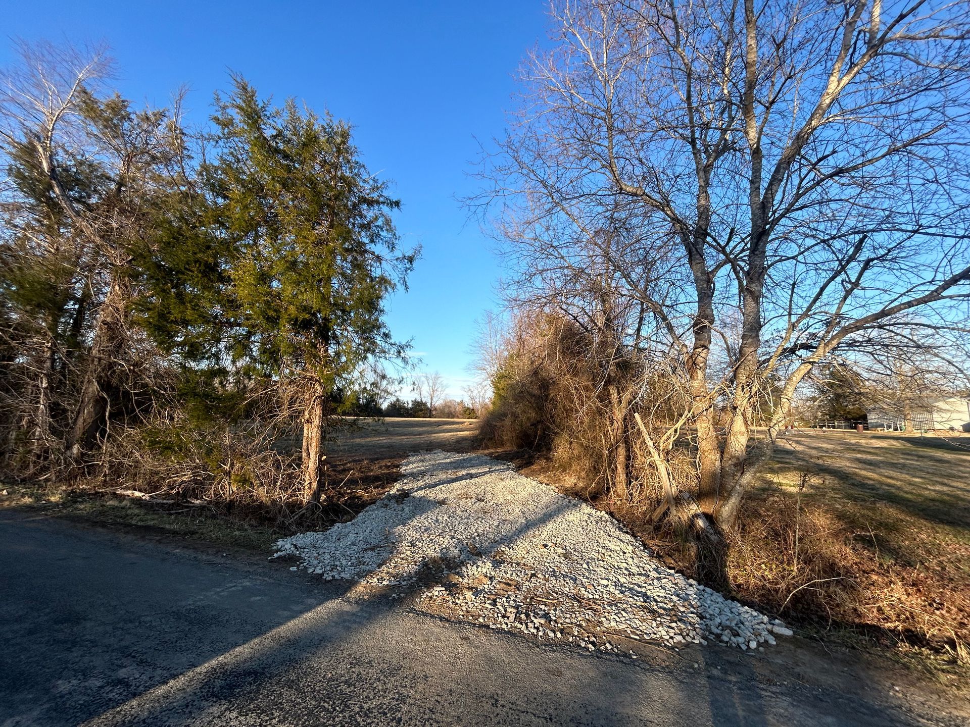A dirt road going through a forest with trees on both sides.