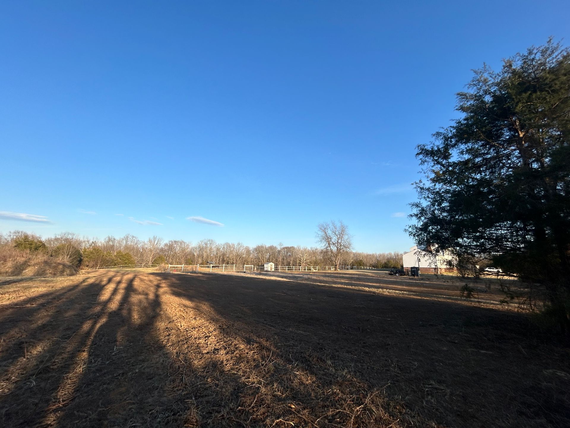 A field with trees and a blue sky in the background