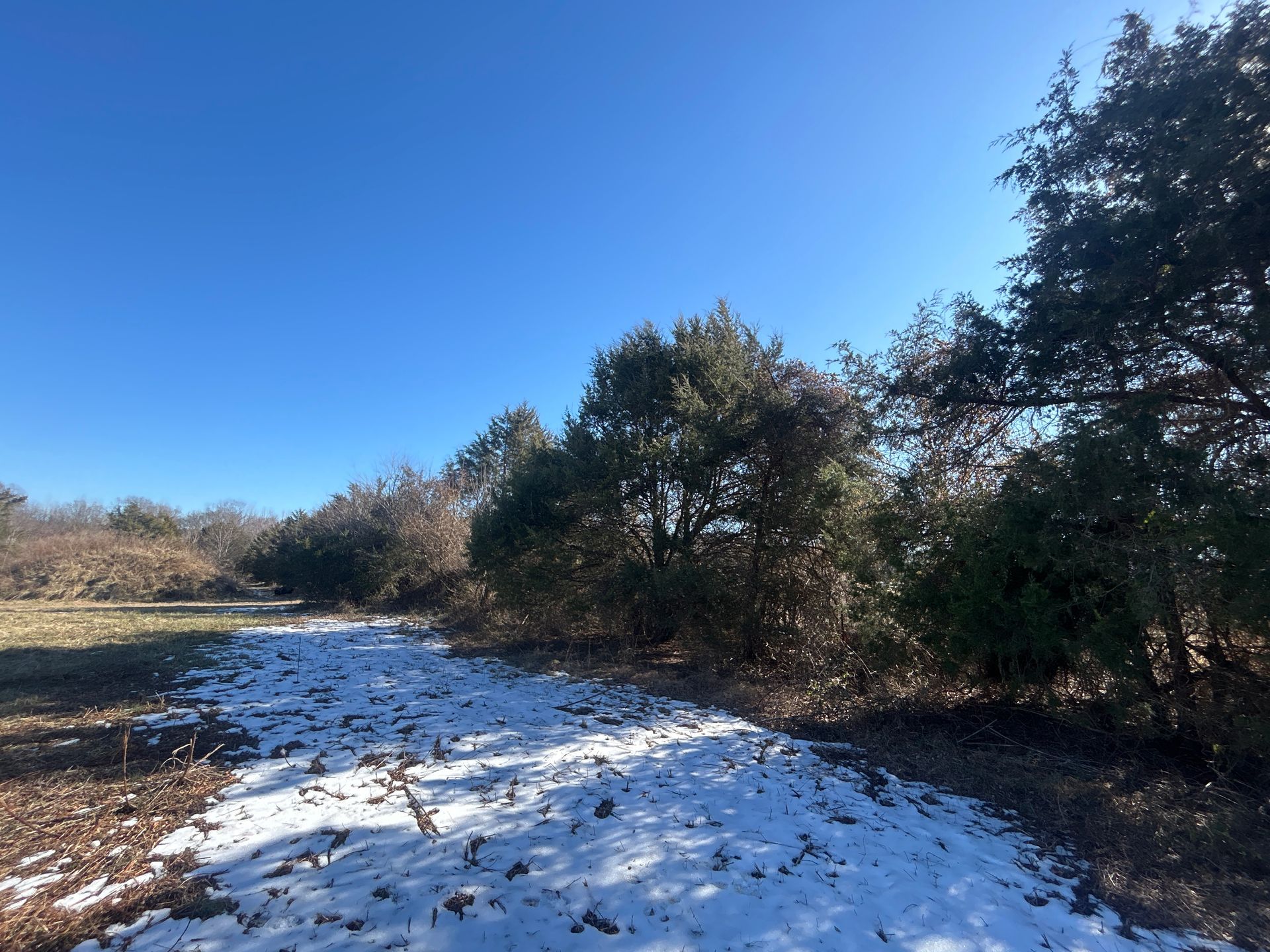 A snowy path surrounded by trees on a sunny day