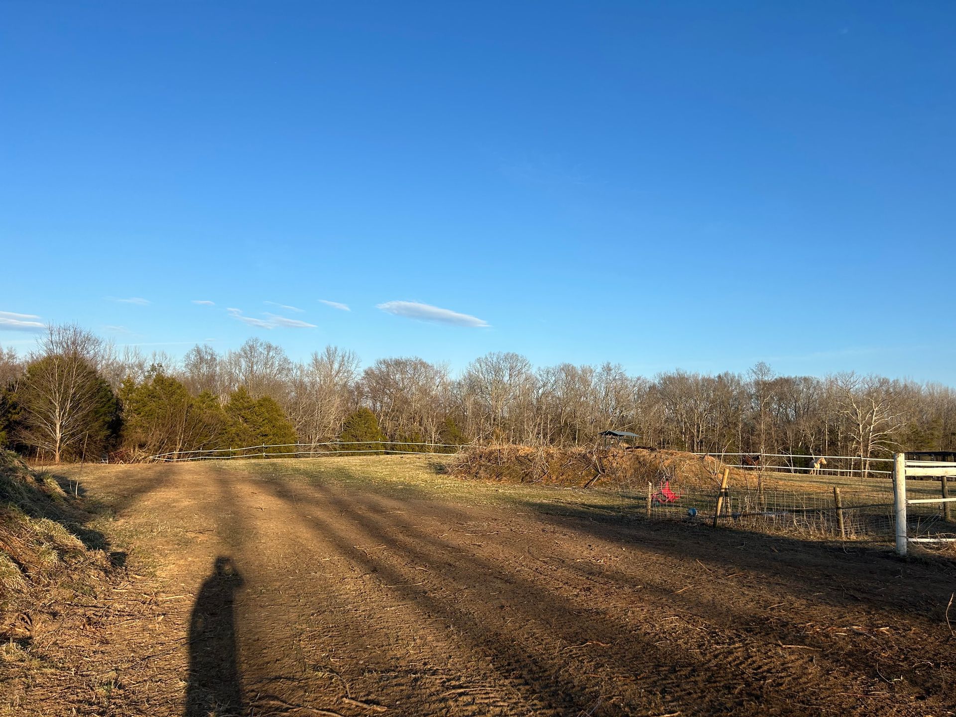 A dirt road going through a field with a blue sky in the background.