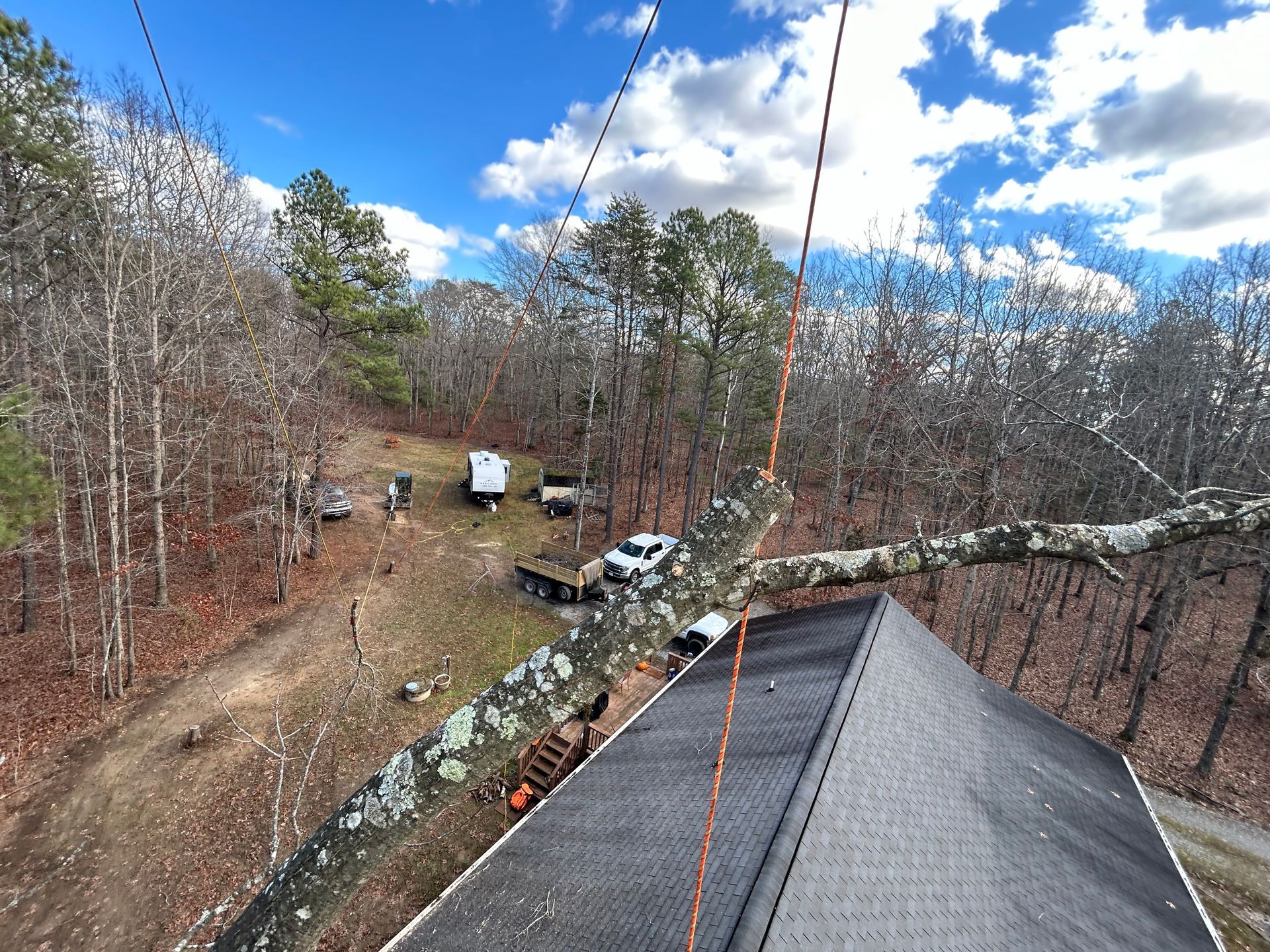 A tree has fallen on the roof of a house in the woods.