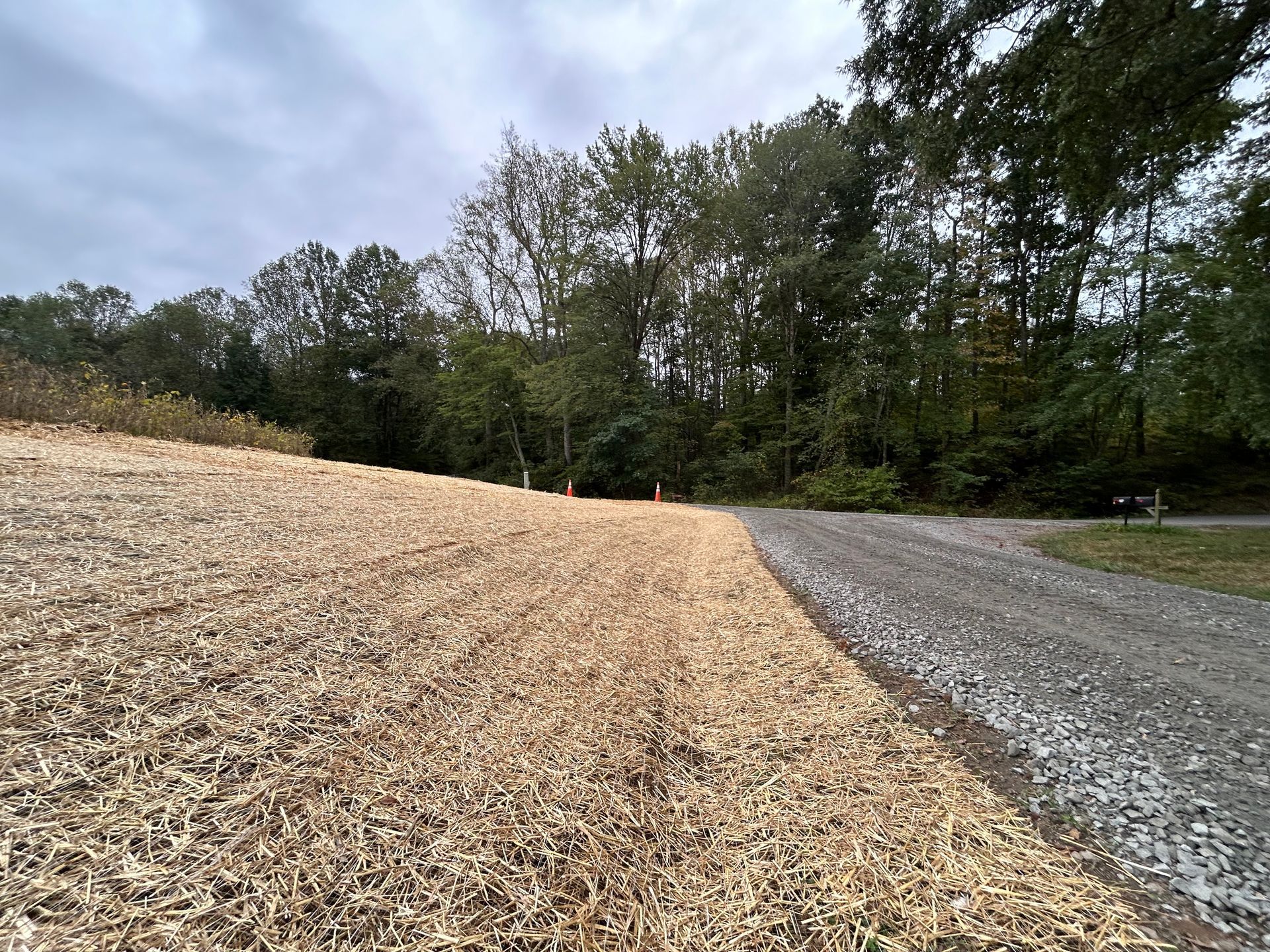 A dirt road going through a field with trees in the background.