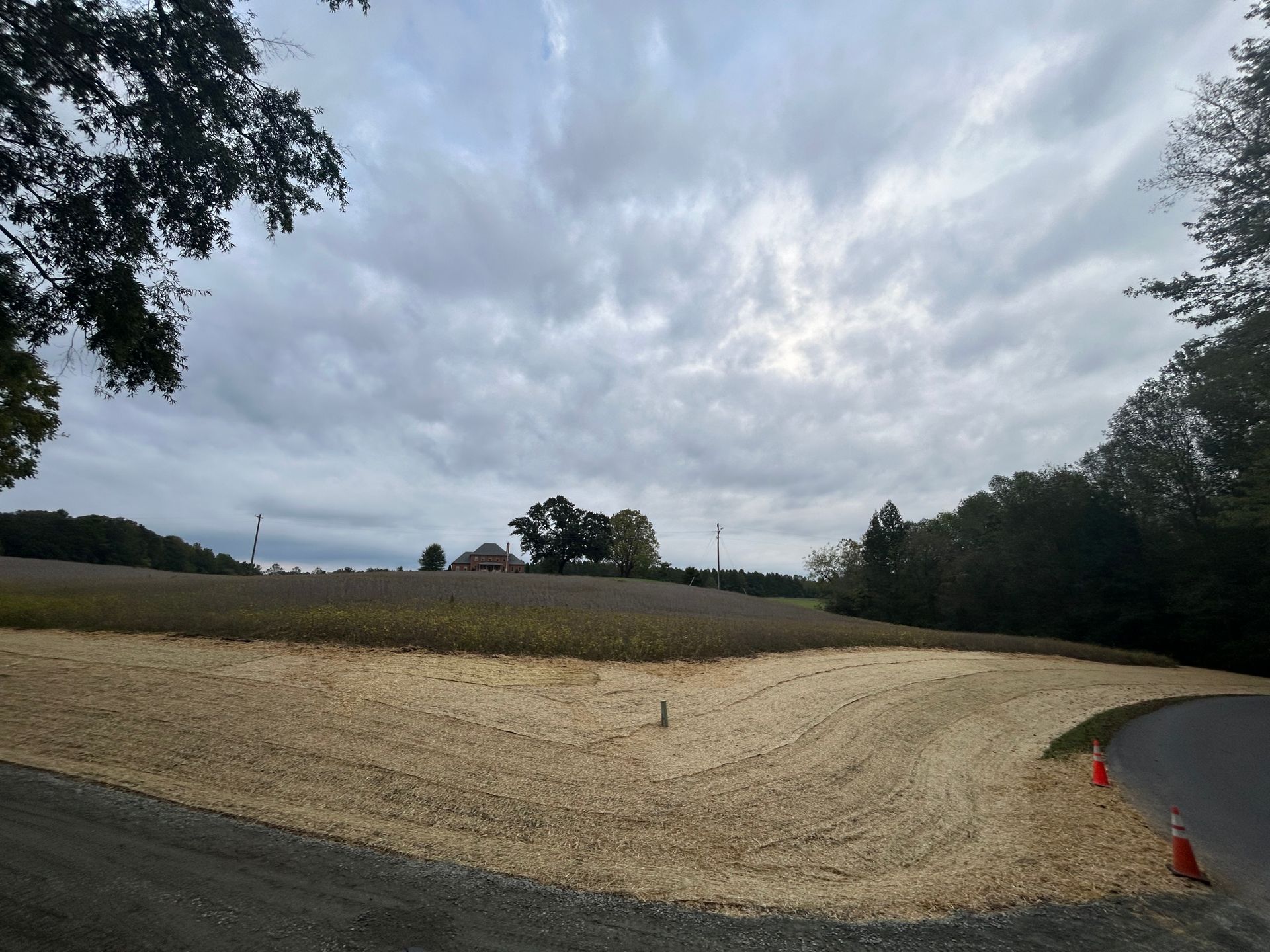 A dirt road going through a field with trees in the background