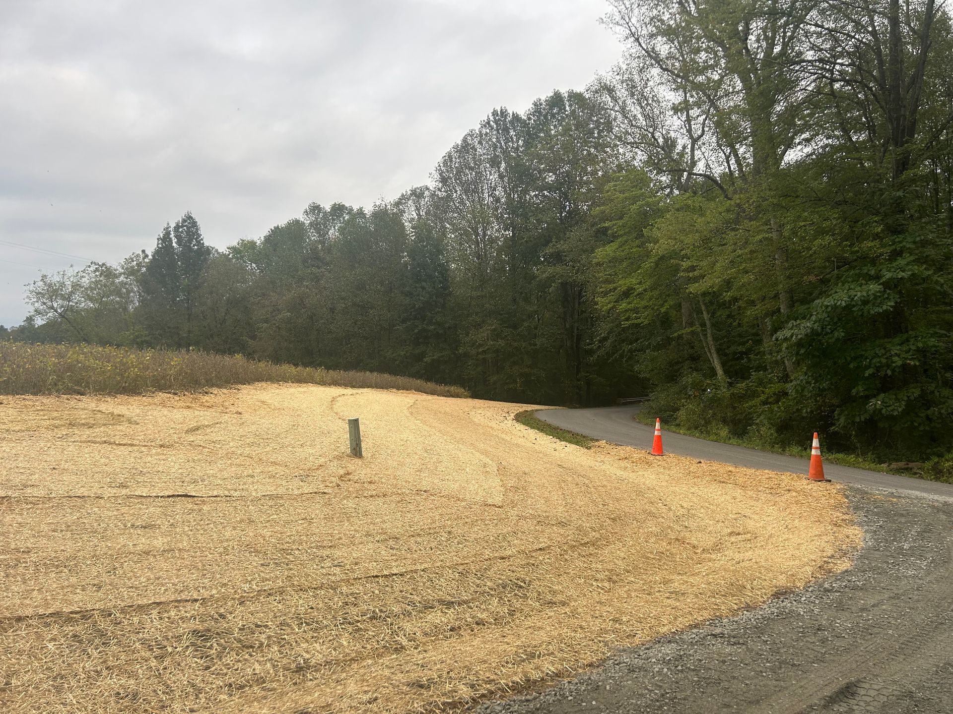 A dirt road going through a field with cones on the side of it.