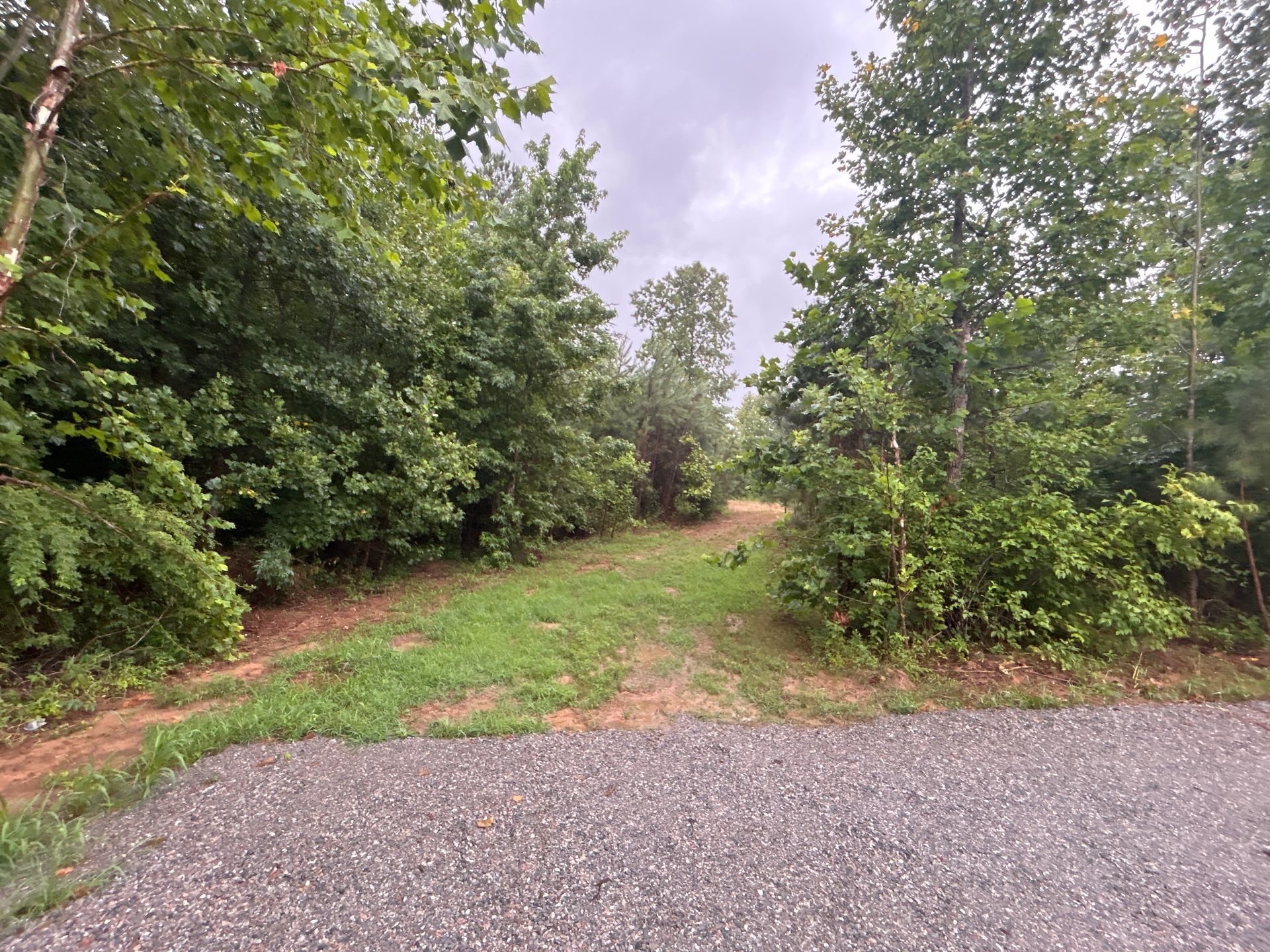 A dirt road surrounded by trees and grass on a cloudy day.