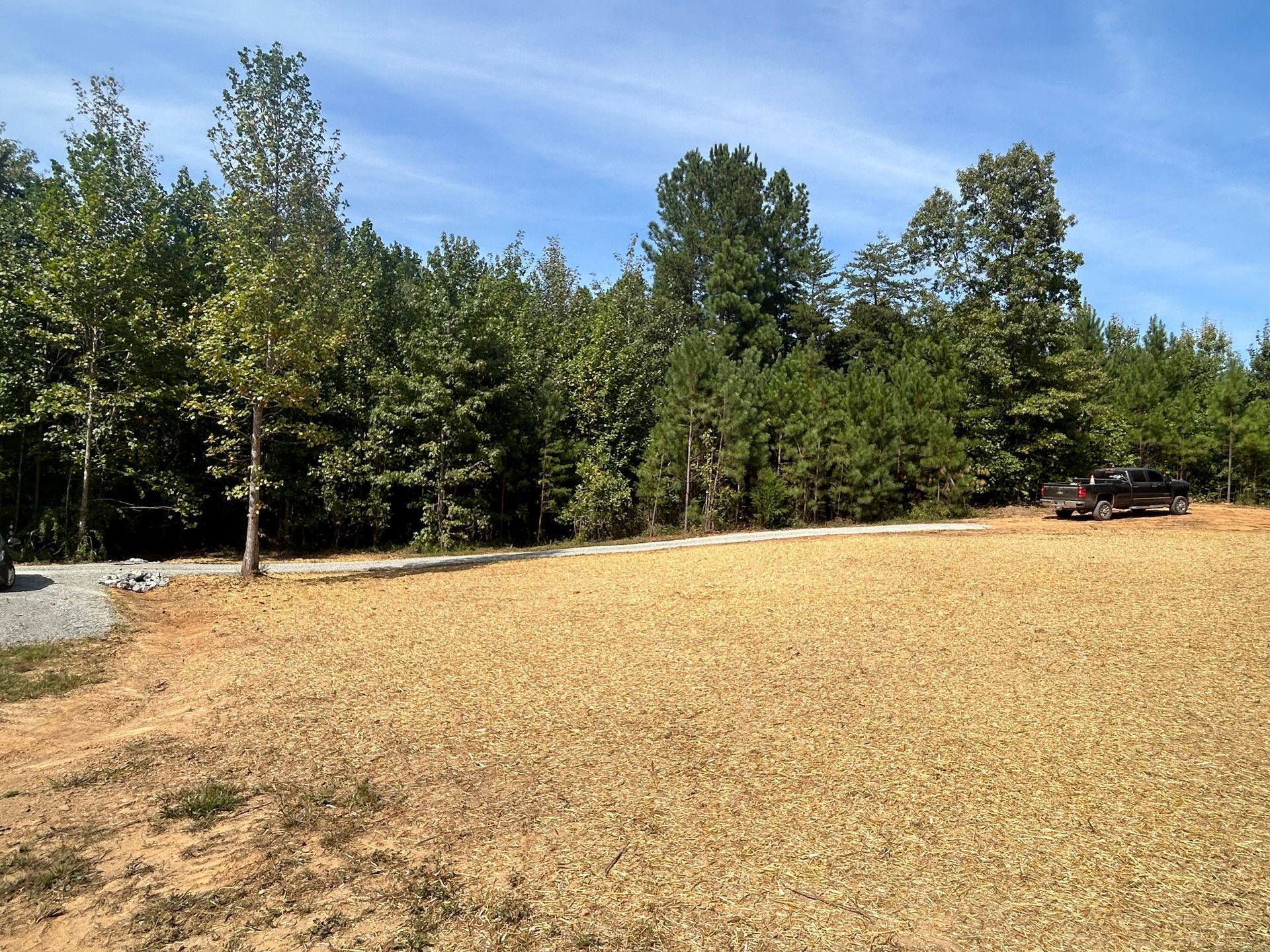 A car is parked in a field with trees in the background