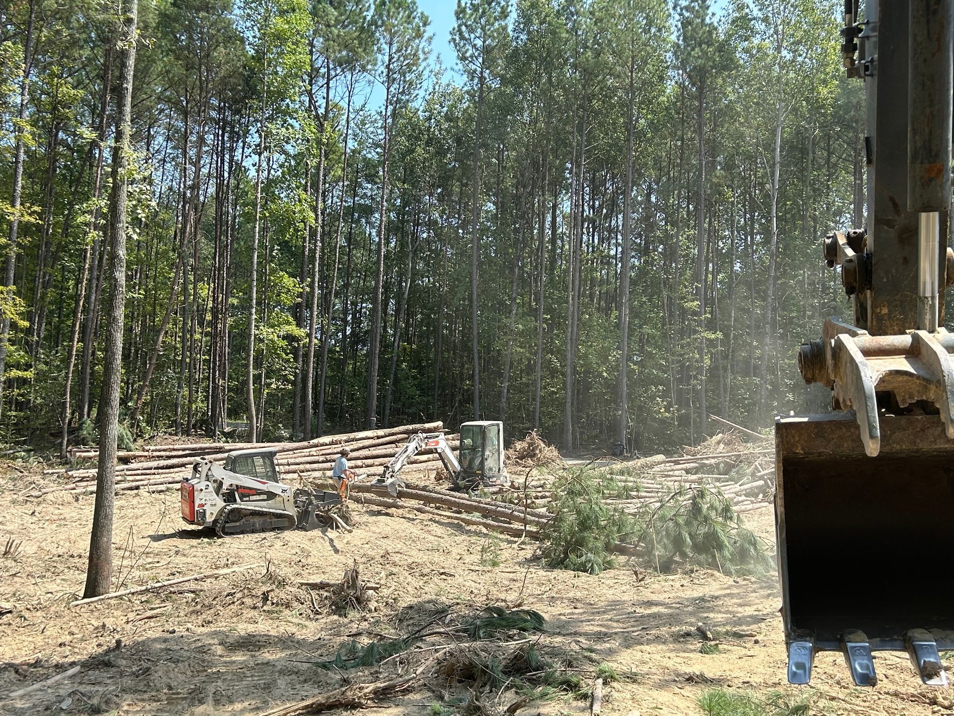 A bulldozer is cutting down trees in a forest.