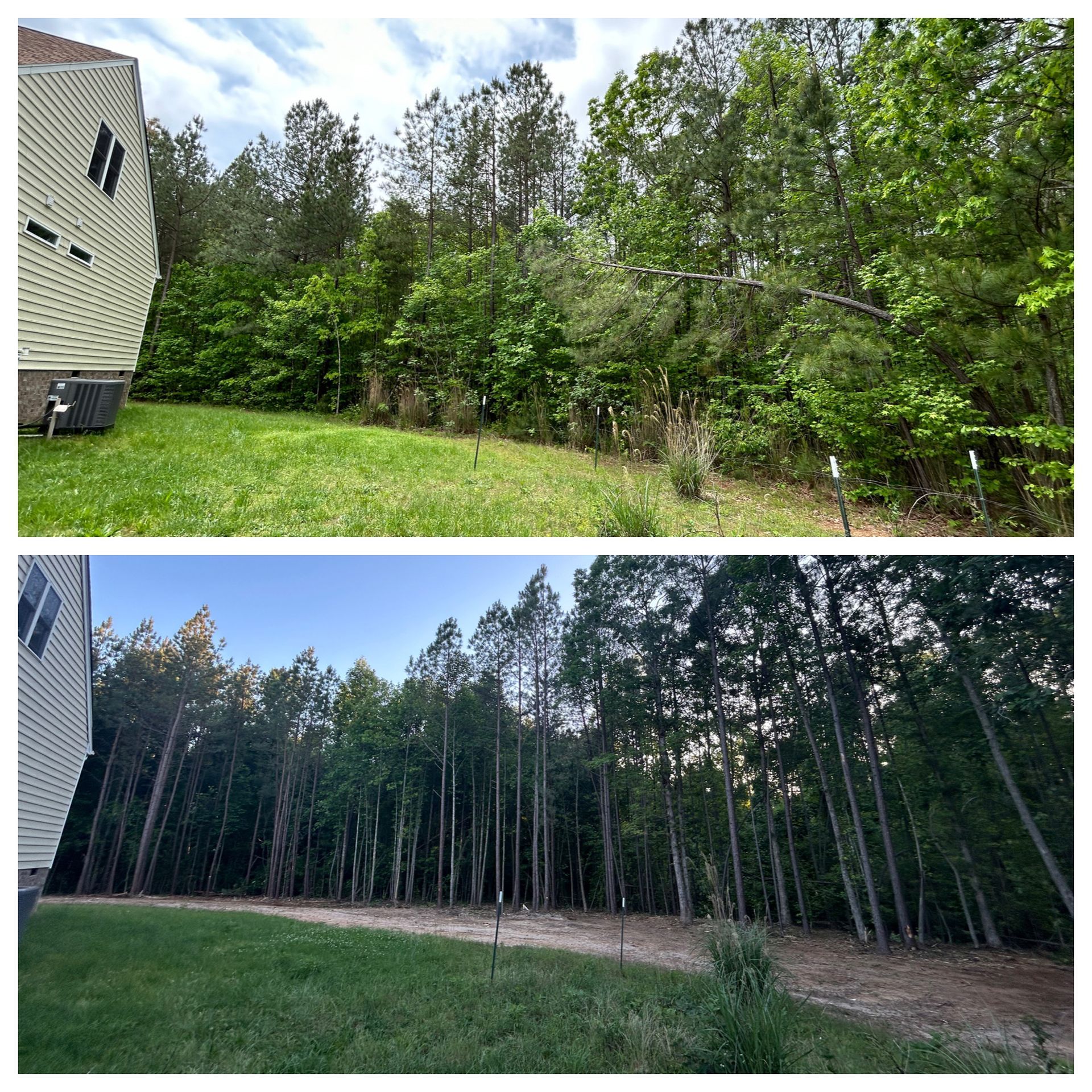 A before and after picture of a yard with trees and a house.