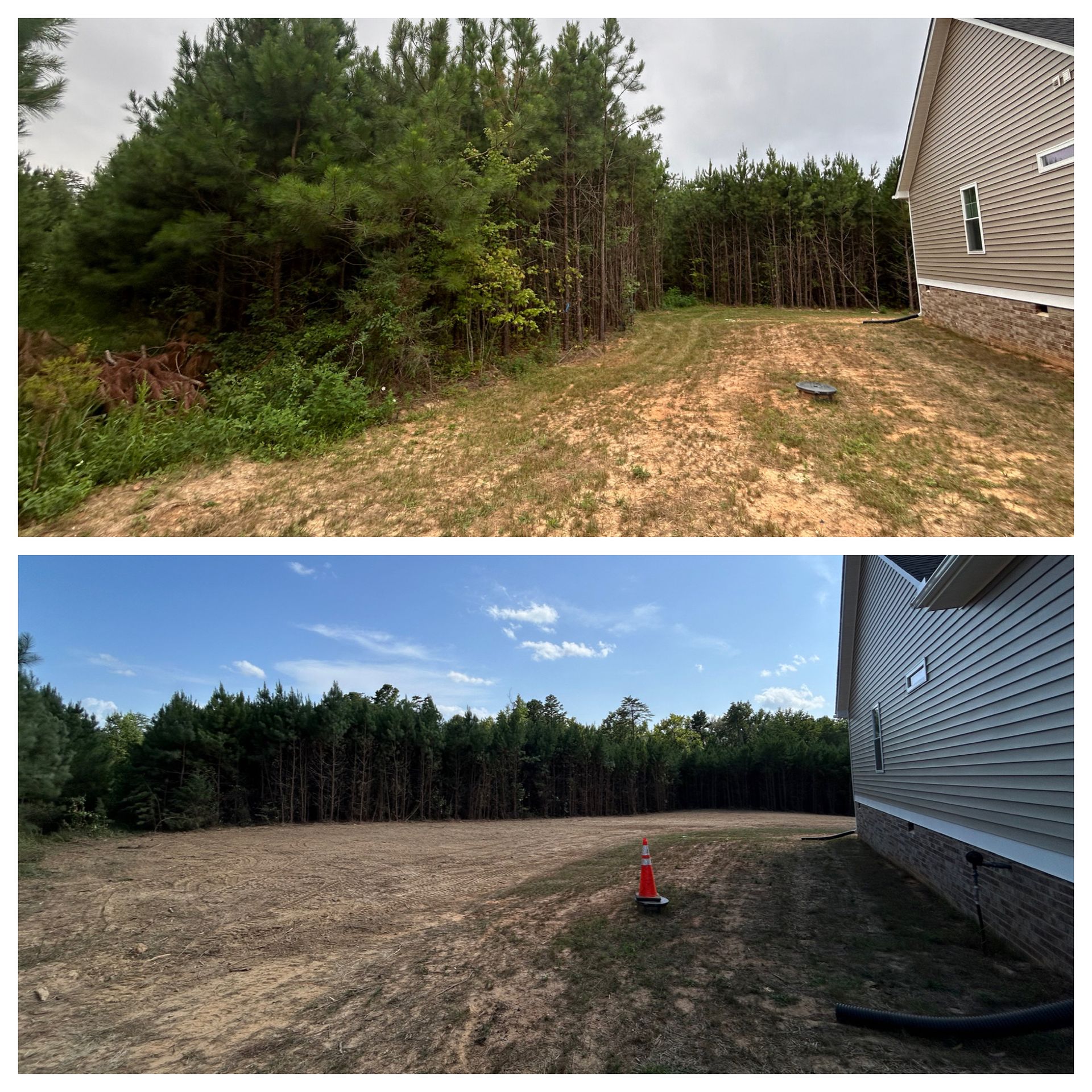 A before and after picture of a yard with trees and a house