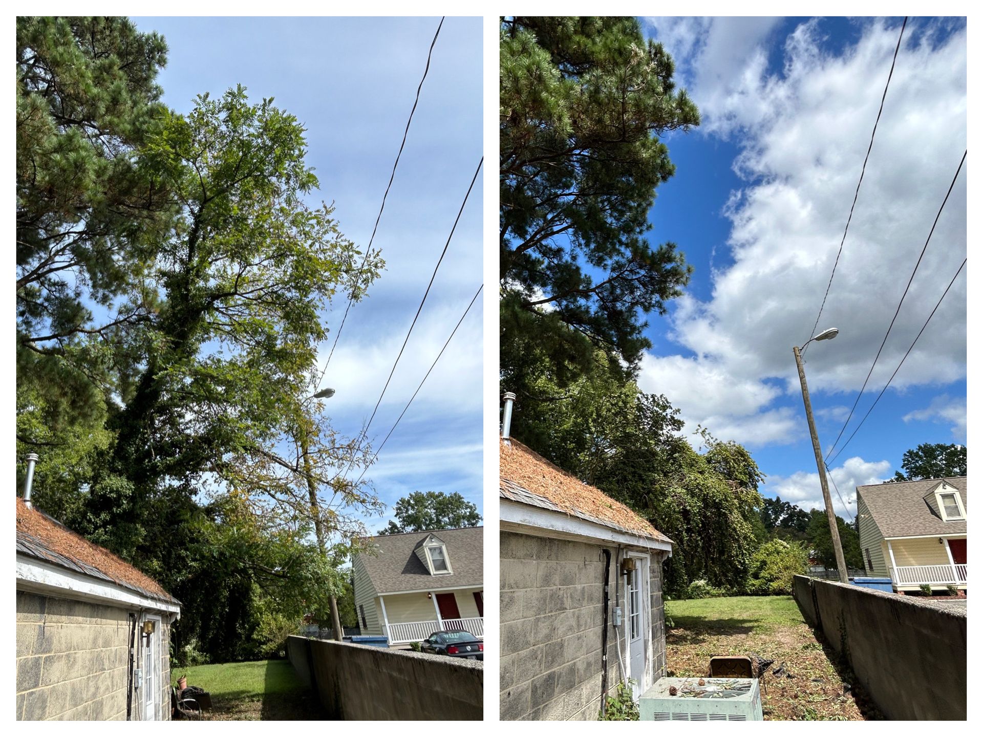 A before and after picture of a tree being cut down in front of a house.