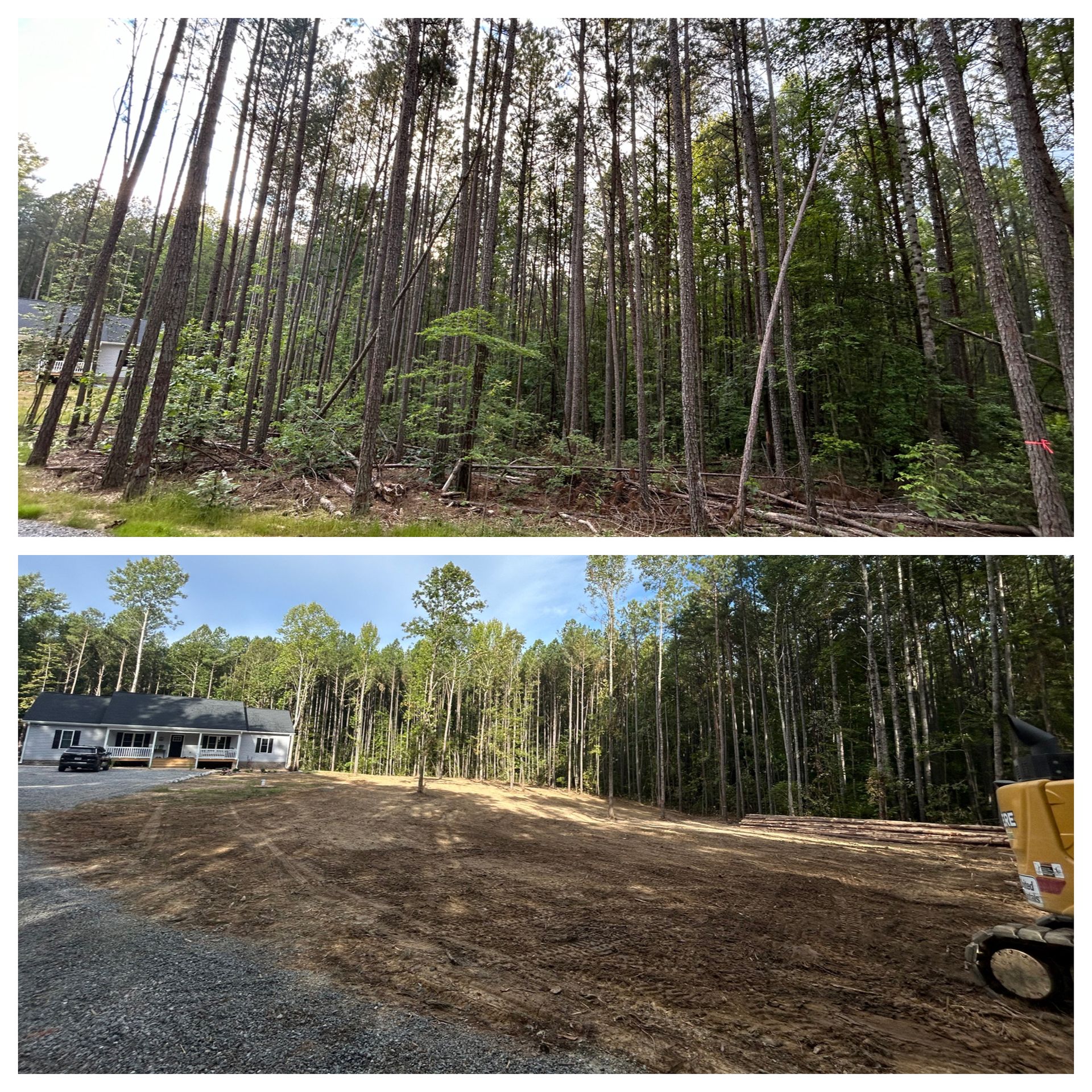 A before and after picture of a forest with a house in the background.