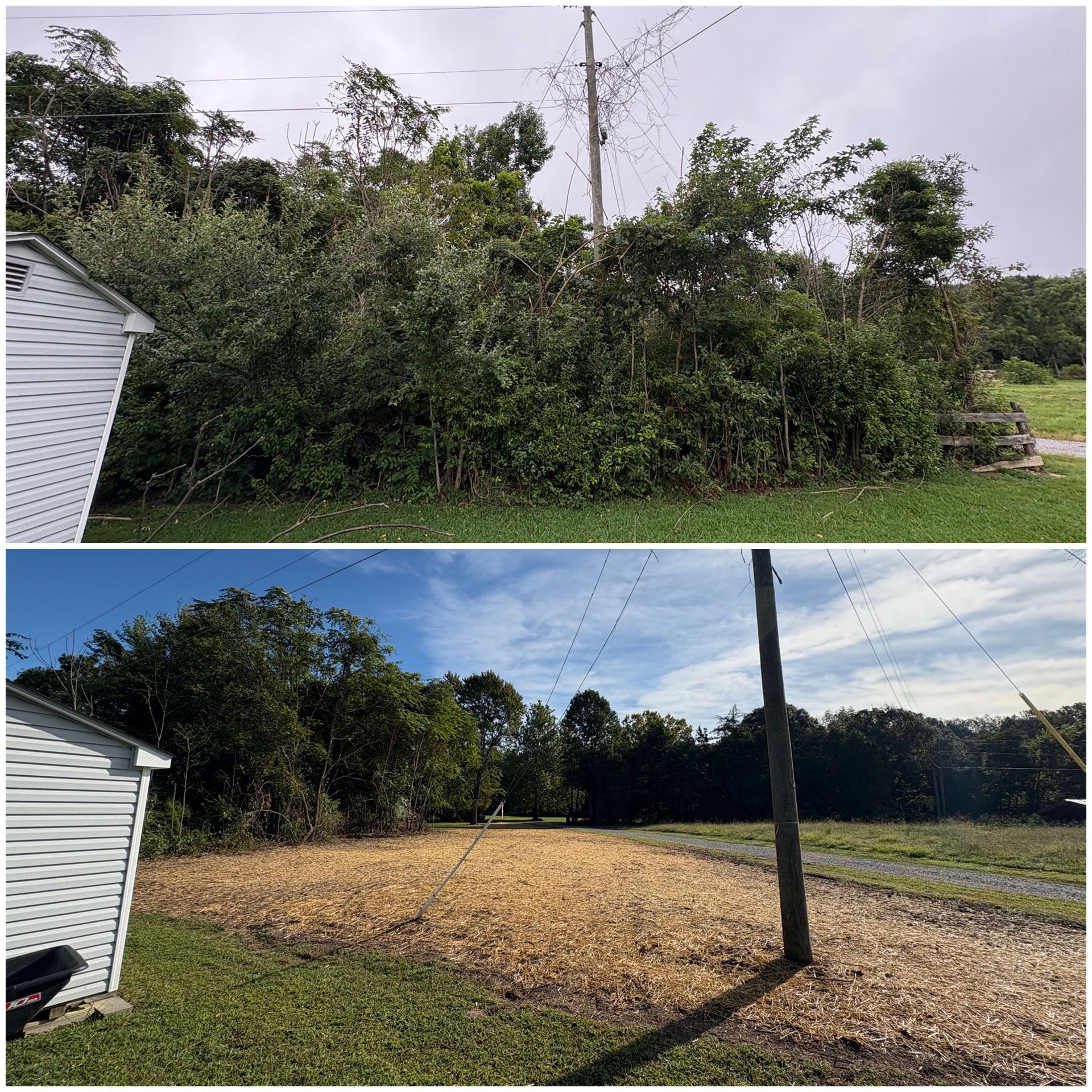 Before and after photos: Overgrown bushes cleared to reveal a grassy area. A utility pole is visible.
