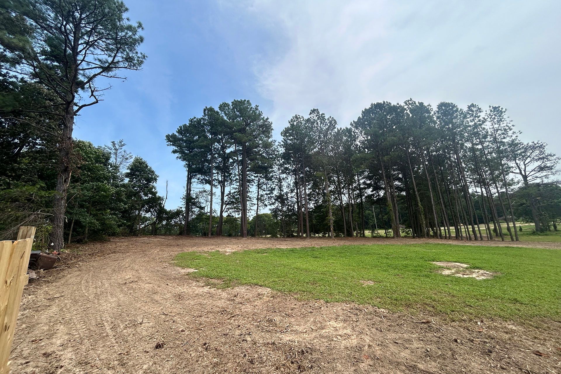 A field with trees in the background and a fence in the foreground.