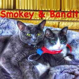 Smokey and Bandit