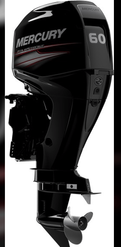 A mercury outboard motor is shown on a white background.