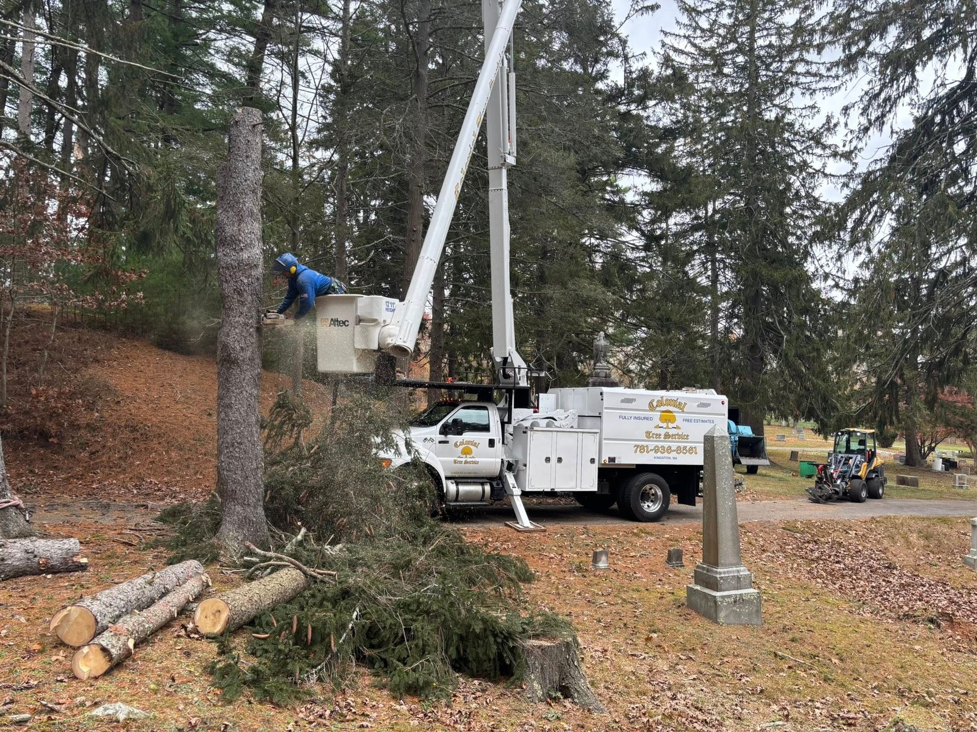A worker in a lift truck trims a tree in a cemetery. Sawed logs and branches on ground.