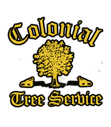 Colonial Tree Service - Logo
