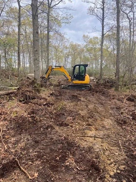 Yellow excavator clearing a wooded dirt path among bare trees
