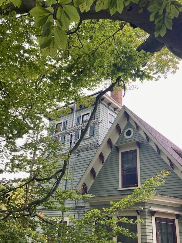 Victorian house with green siding and steep roof, viewed through leafy tree branches