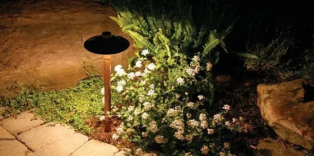 A copper-toned landscape path light illuminates a small bush with white flowers and nearby stone pavers at night.