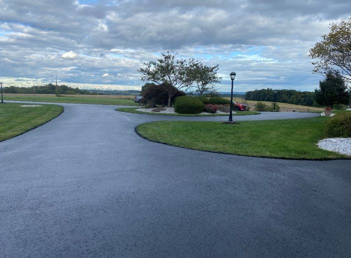 A driveway with a lot of grass on the side of it
